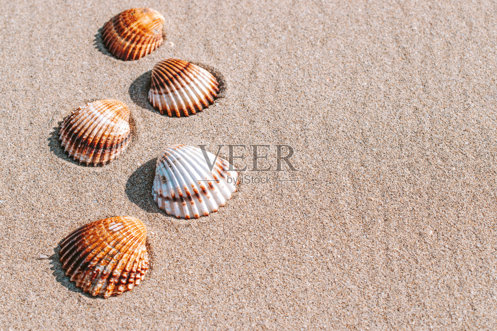 夏天的背景海滩上有贝壳，海星在沙滩上的背景。副本的空间。道路框架集。照片摄影图片