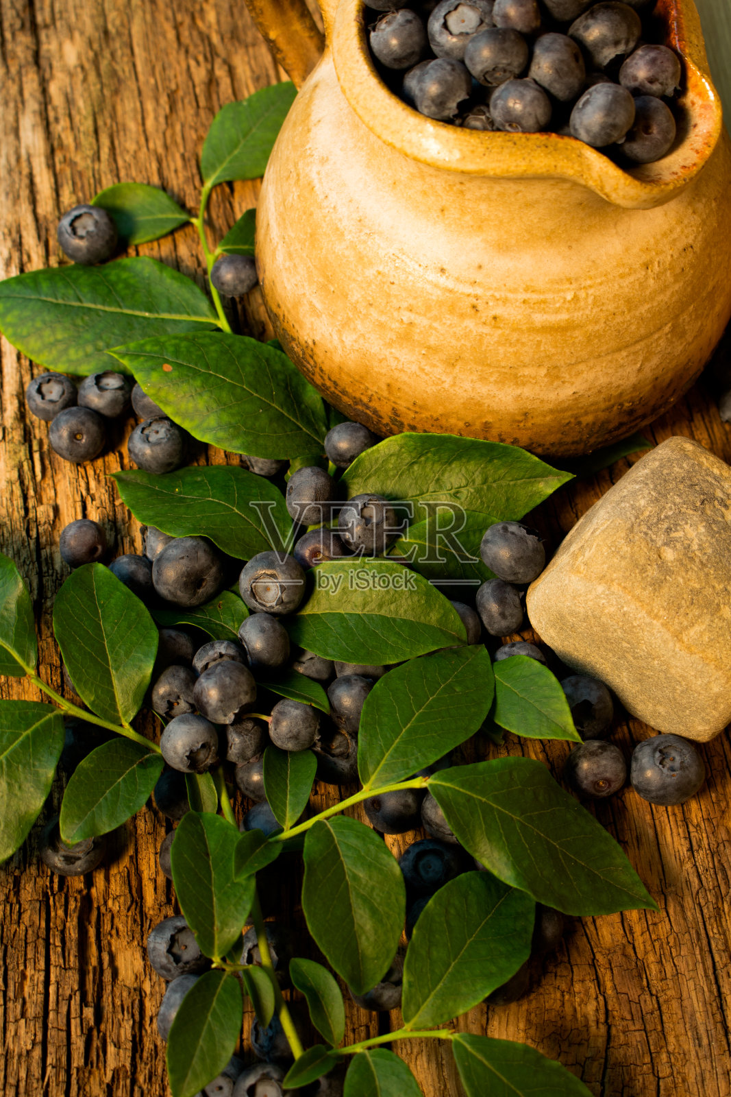 成熟的布朗尼散落在绿叶之间。照片摄影图片