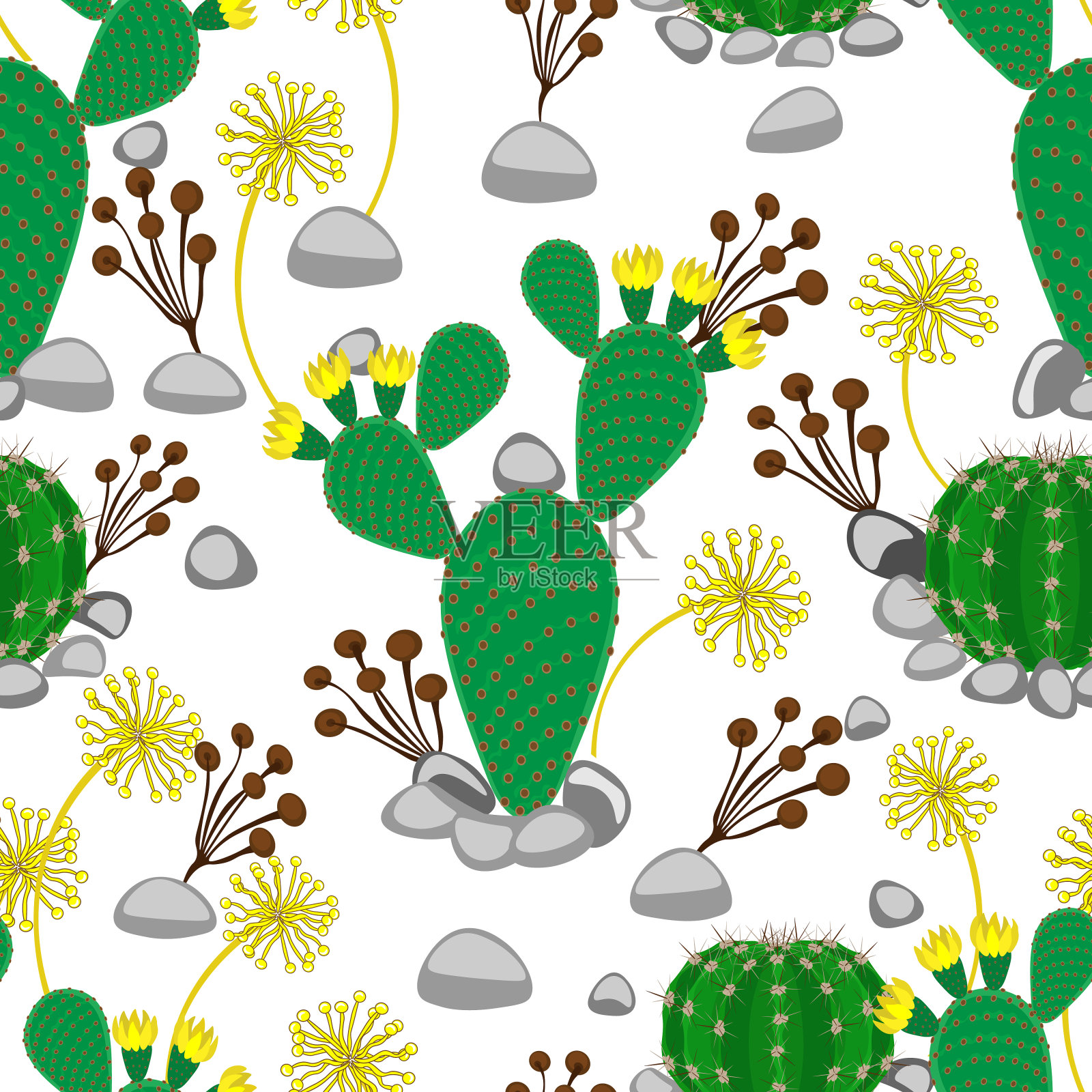 绿色的仙人掌在白色的背景上开花。插画图片素材