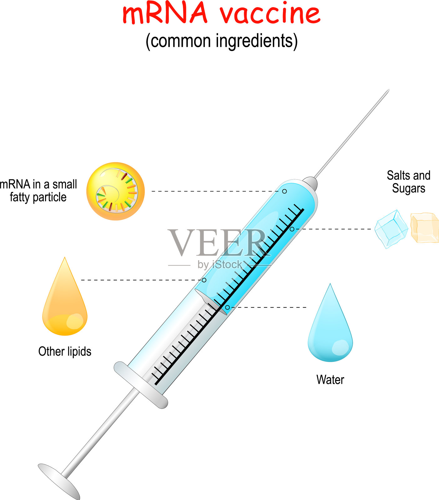 信使核糖核酸疫苗成分插画图片素材