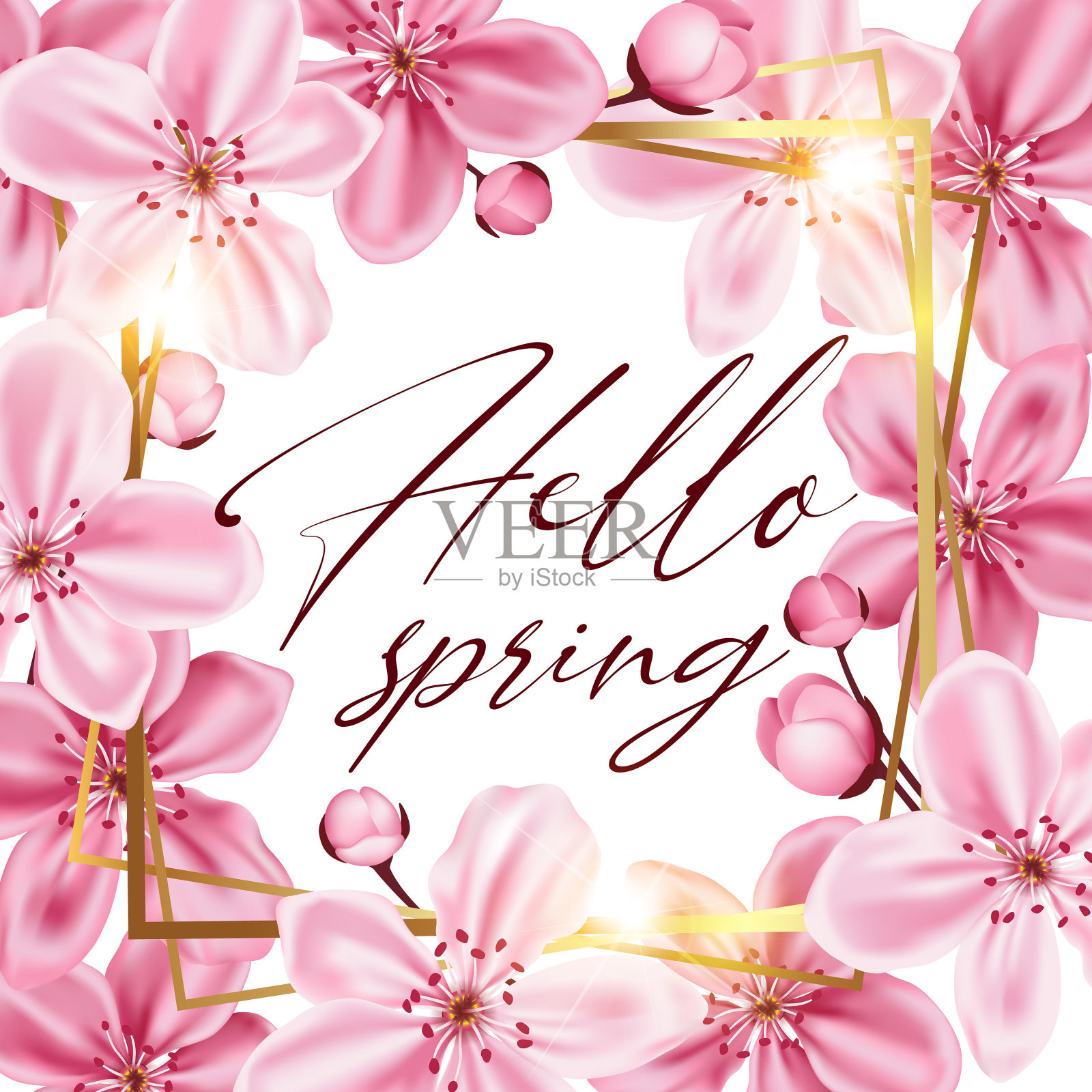 装饰性的金色框架与粉红色的樱花插画图片素材