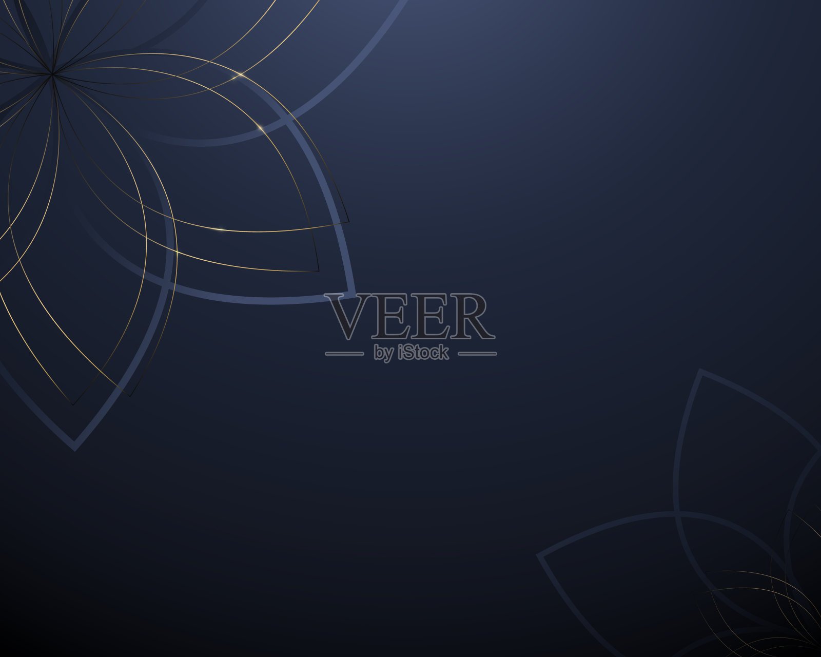 抽象手绘花卉图案与金色线条的豪华概念。矢量插图。为设计元素插画图片素材