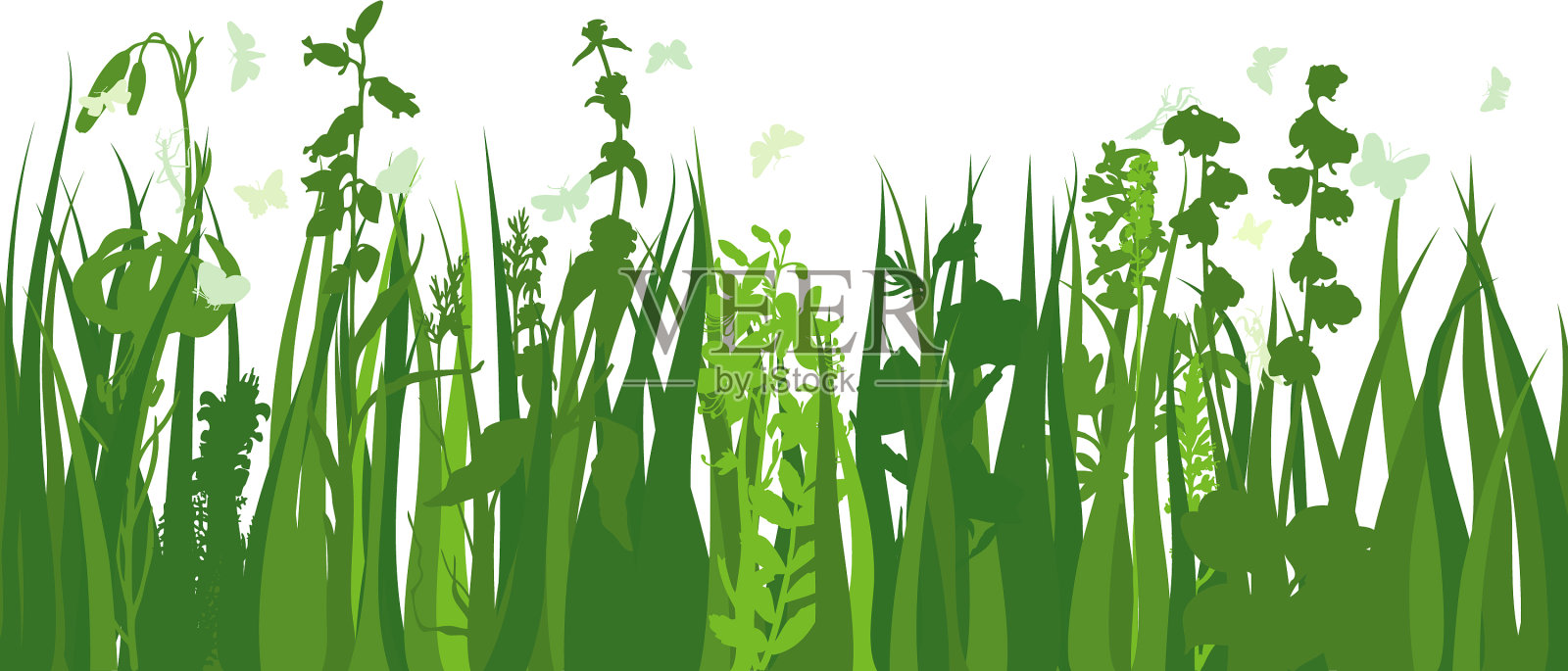绿草草甸插画图片素材