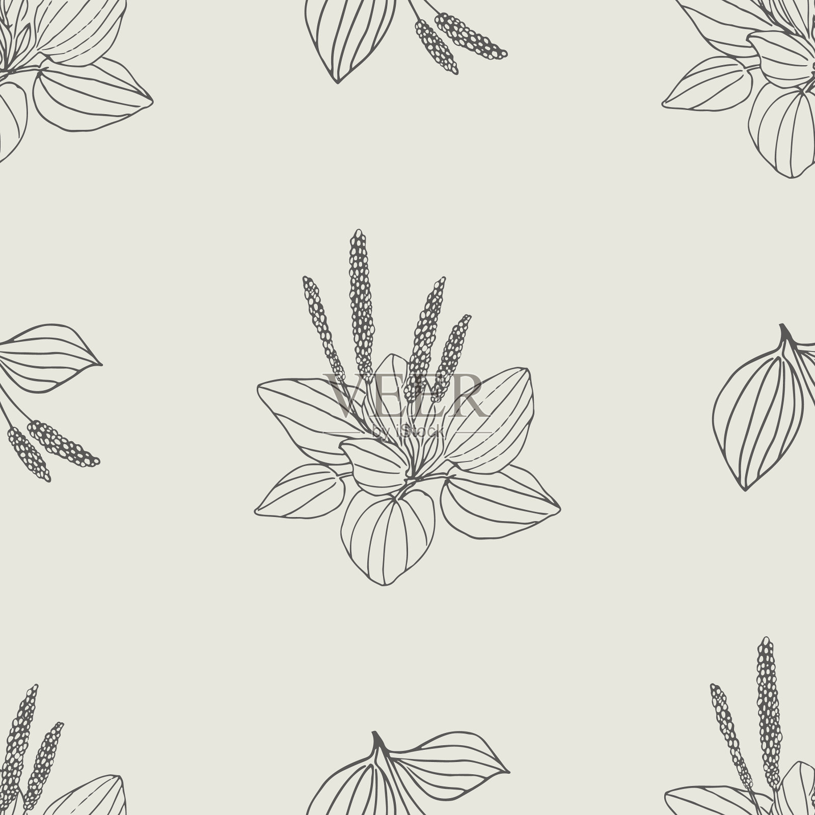 图案无缝车前草图案插画图片素材