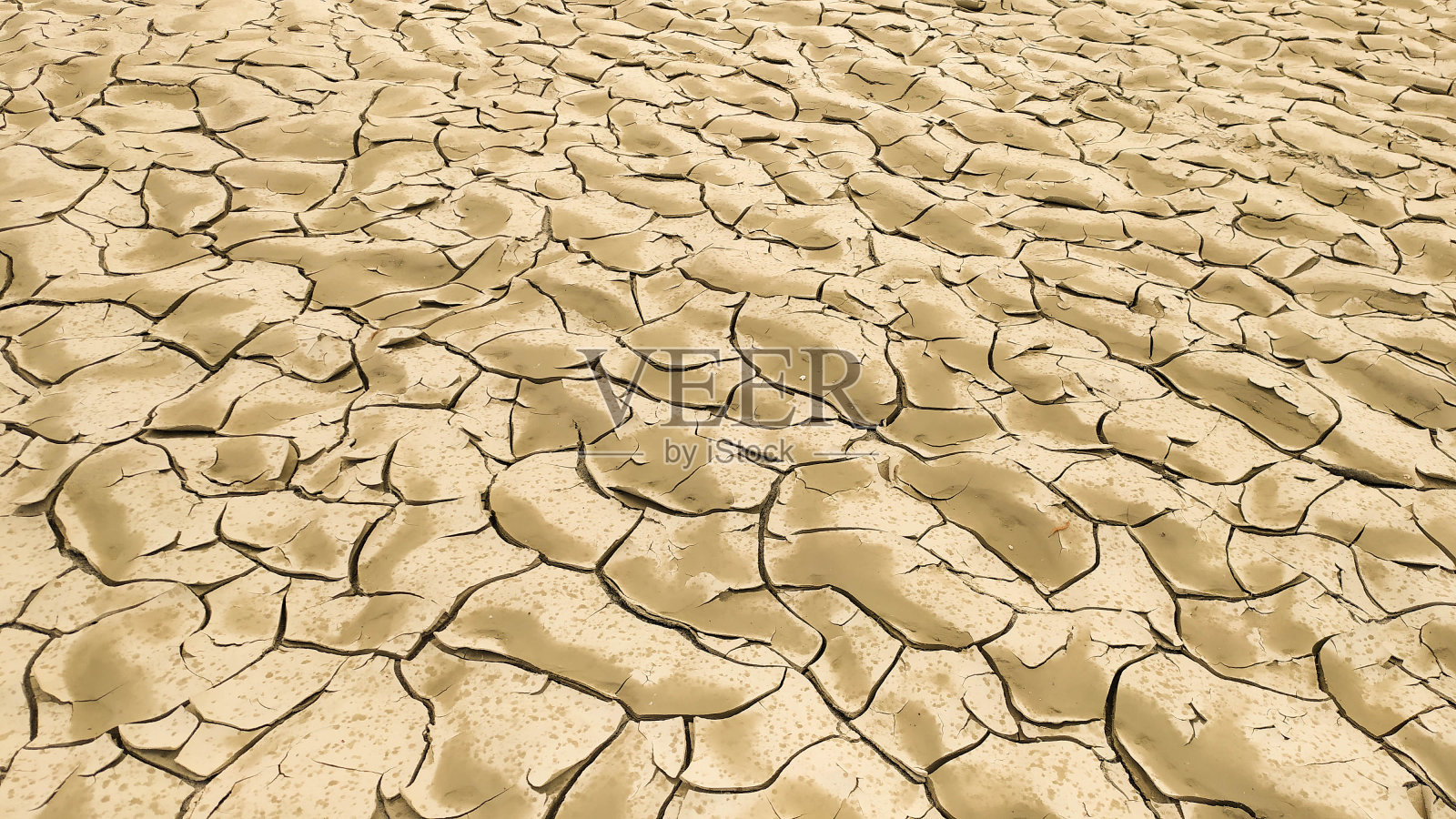 意大利波城，由于雨水不足，粘土干燥开裂照片摄影图片
