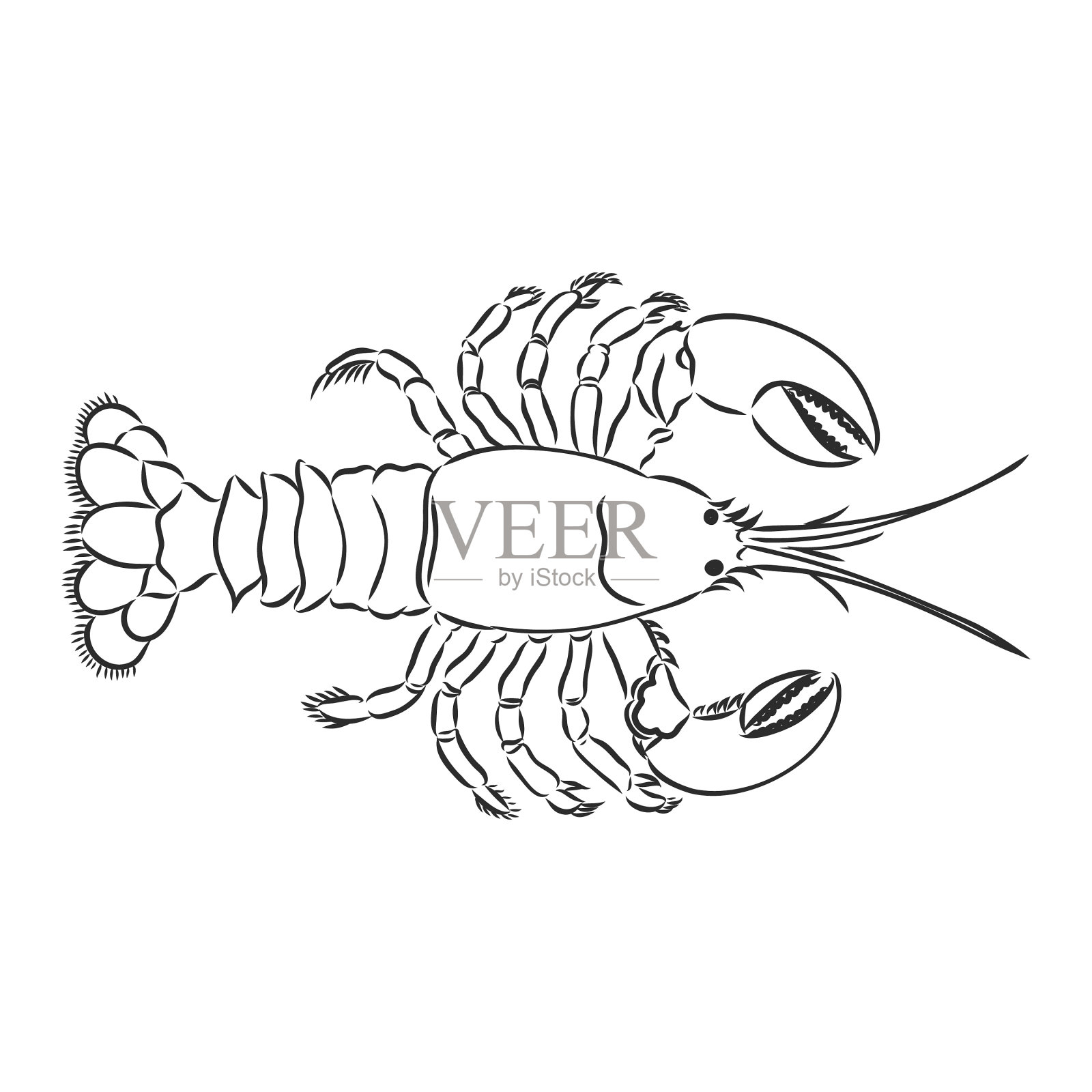 图形巨蟹座采用线条画海和艺术风格插画图片素材