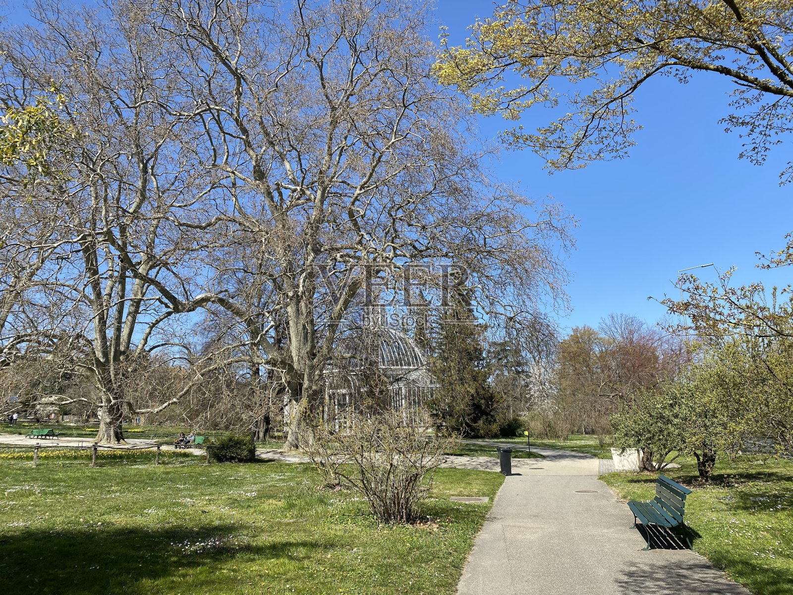 日内瓦市温室植物园(Conservatoire et Jardin Botaniques) Konservatorium and Botanischer Garten Chambésy -瑞士(Suisse / Schweiz)照片摄影图片