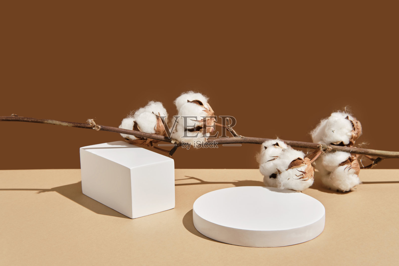 空白色圆形和矩形讲台与阴影和棉花的分支在米色自然的背景。瓦比比风格，大地色调。展示生态或有机产品，化妆品的模型。照片摄影图片