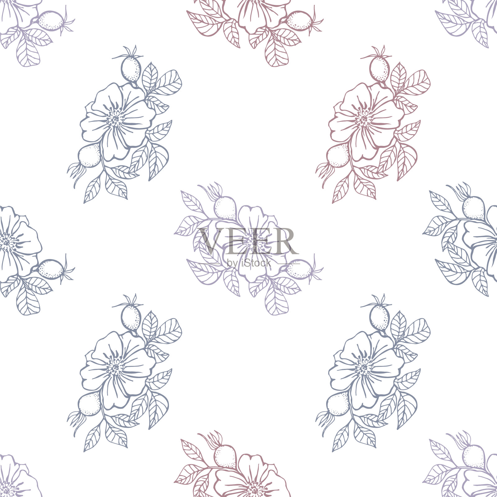 图案无缝图案与玫瑰臀部插画图片素材