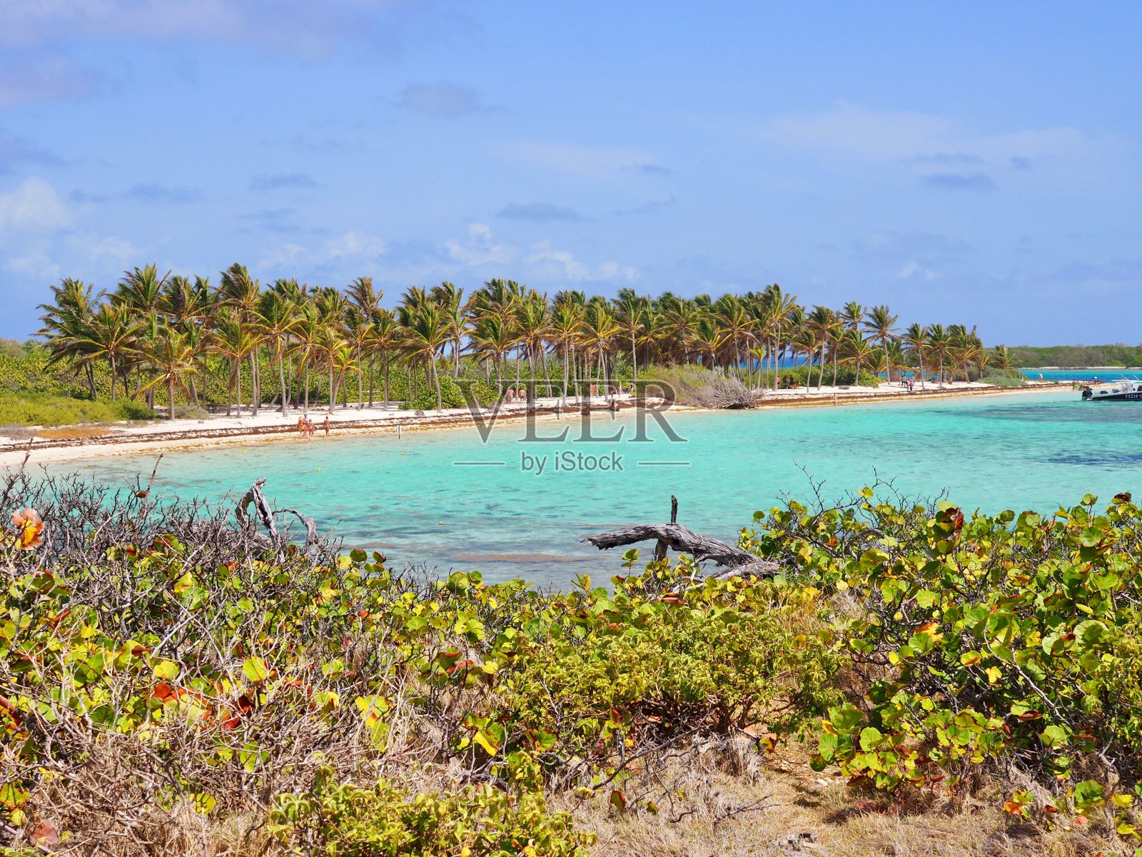 瓜德罗普岛的天堂海滩照片摄影图片