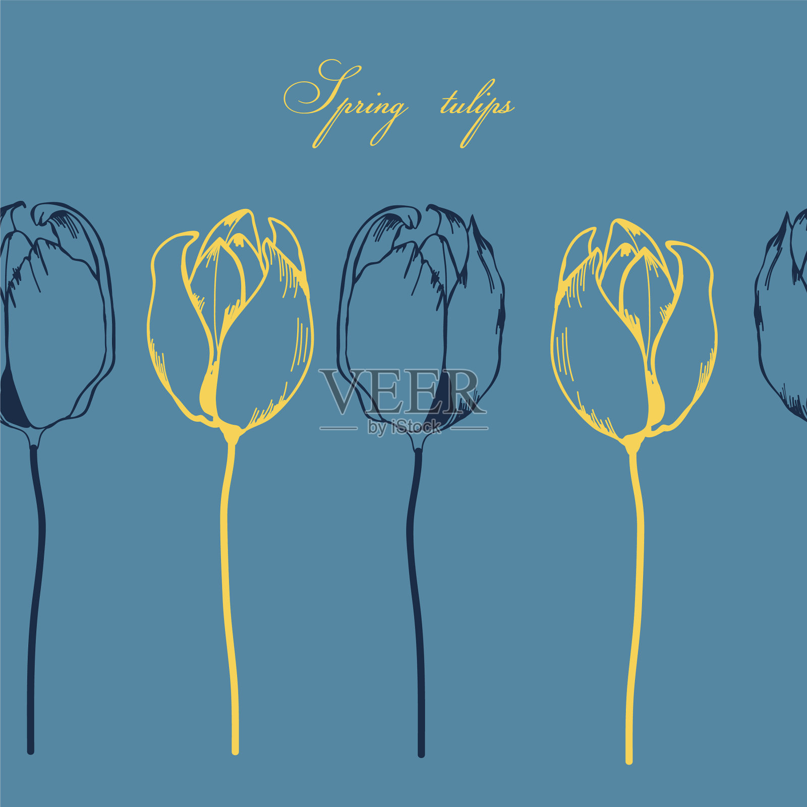 春花背景手绘郁金香插画图片素材