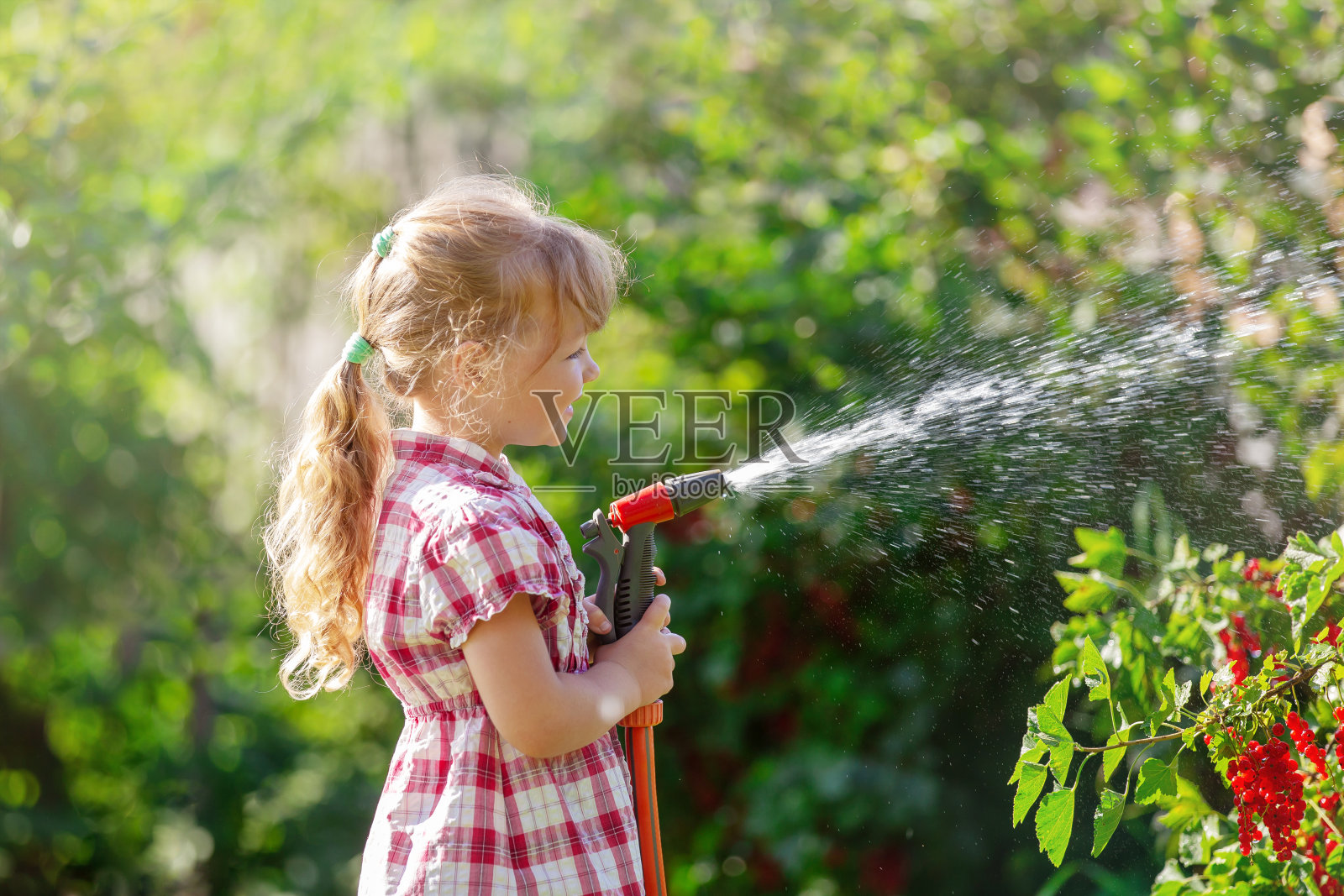 一个穿着格子裙的小女孩用软管浇灌花园照片摄影图片