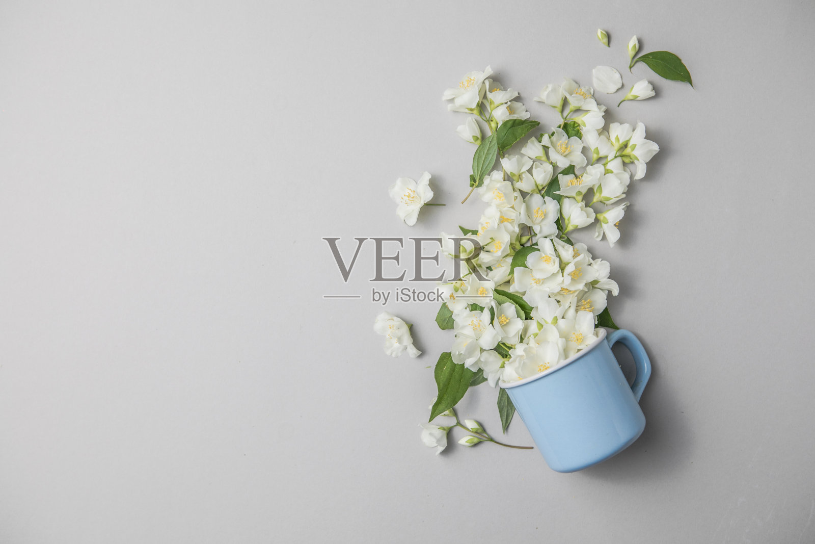 花的组成在灰色的背景与绿色的叶子，花在杯平躺照片摄影图片