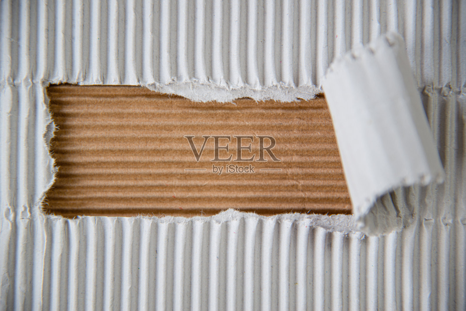 卷曲撕裂的瓦楞纸板照片摄影图片