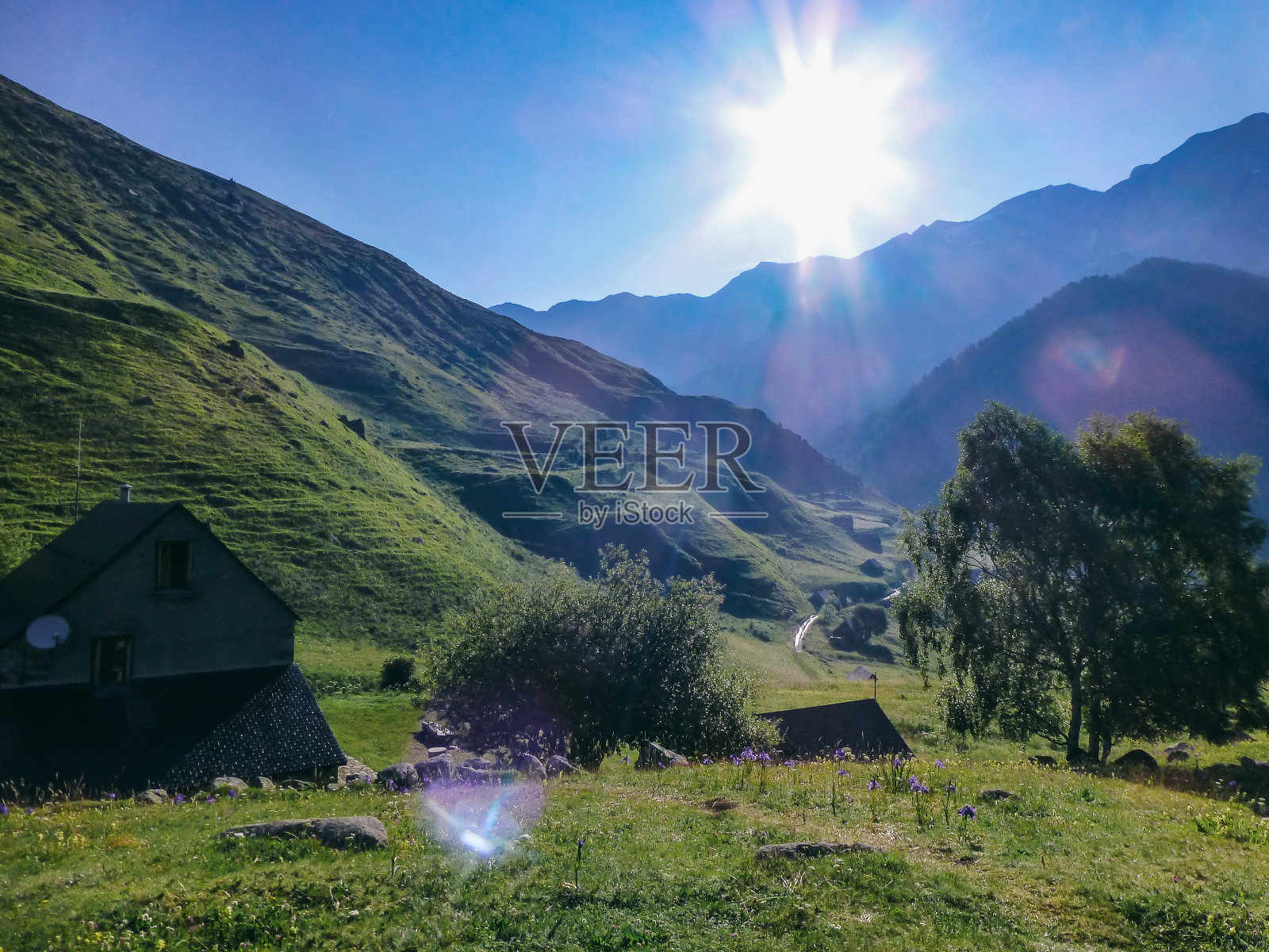 意大利瓦莱达奥斯塔的绿色山丘，有一些房子和树木照片摄影图片