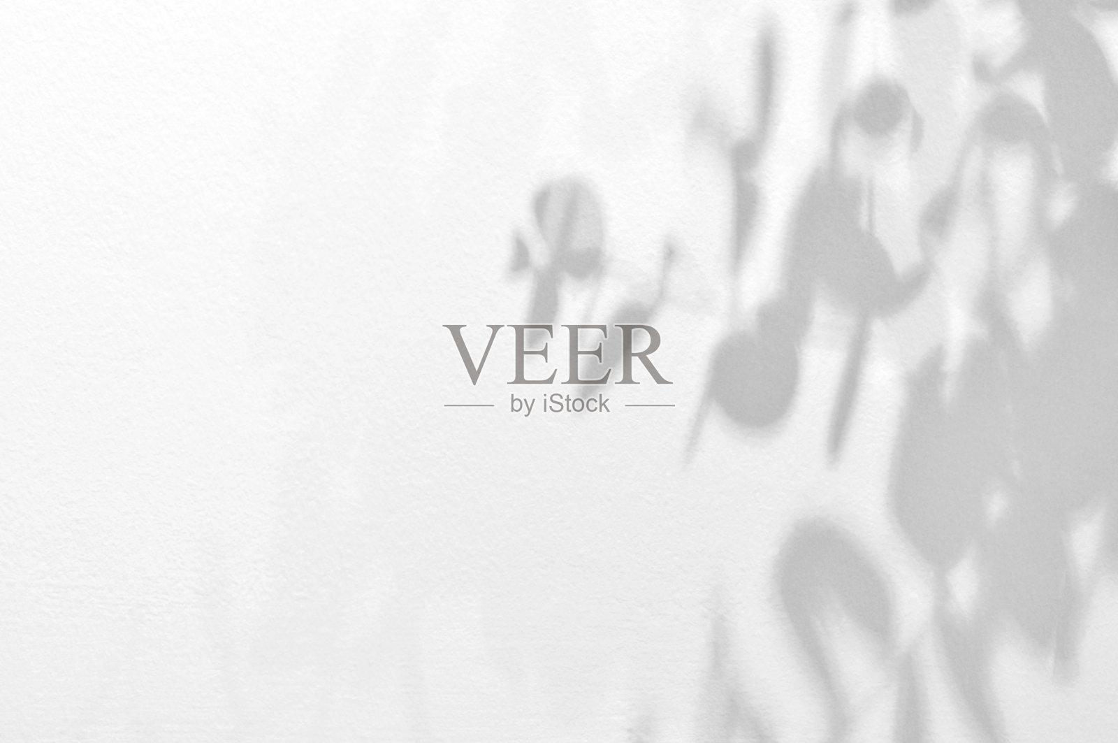 光影桉树枝干在粗糙的白色墙壁混凝土背景上。剪影抽象热带树叶自然图案为壁纸，春夏纹理。黑白模糊的图像。照片摄影图片