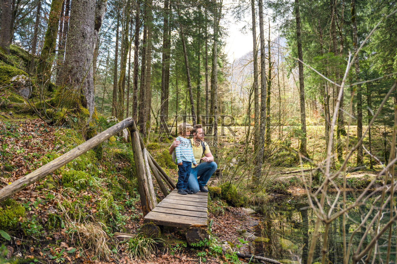 父亲和他的儿子观察斯洛文尼亚美丽的自然照片摄影图片