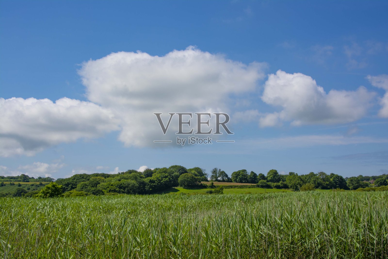 夏天和古德威克的天空湛蓝照片摄影图片