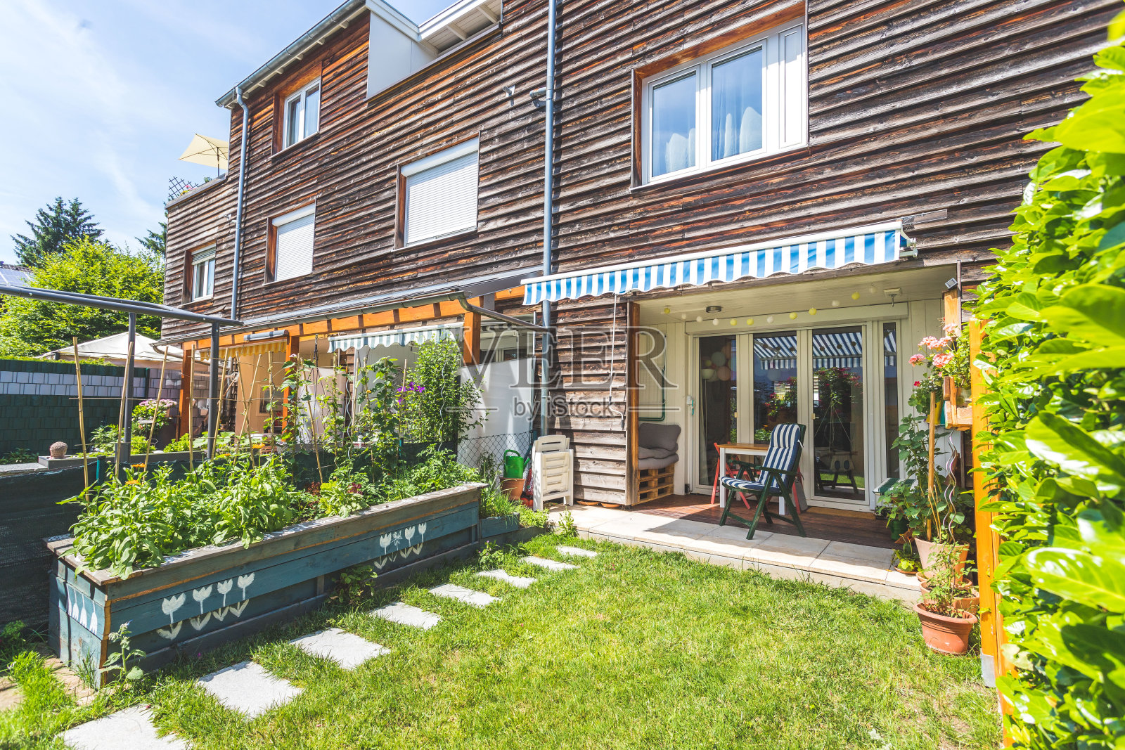 夏天，舒适又家常的小花园照片摄影图片