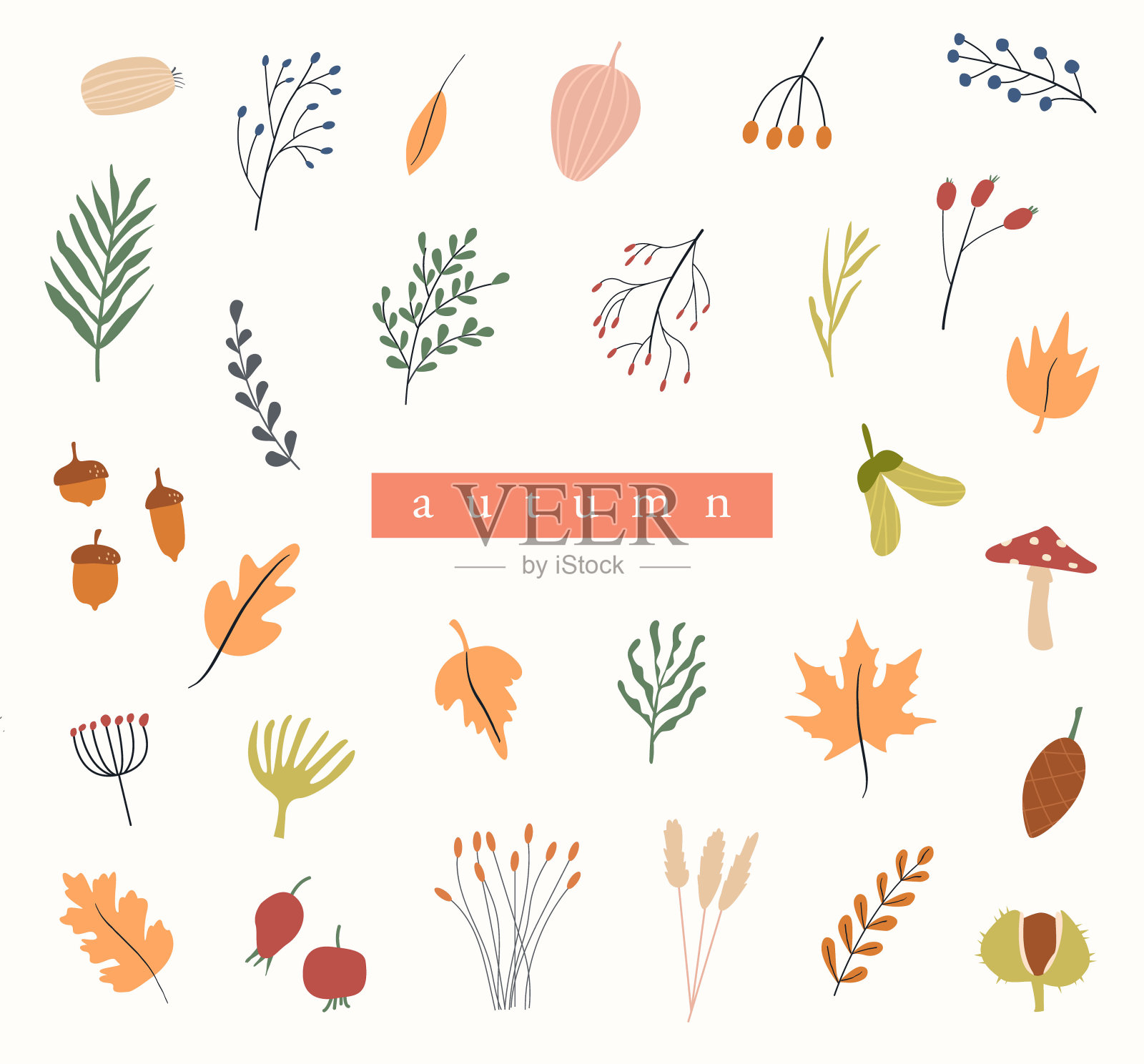 一套秋季植物标本室。不同的树枝和小树枝上有浆果和树叶。卡片与野生森林植物。植物设计元素向量集合。彩色平面插图。插画图片素材