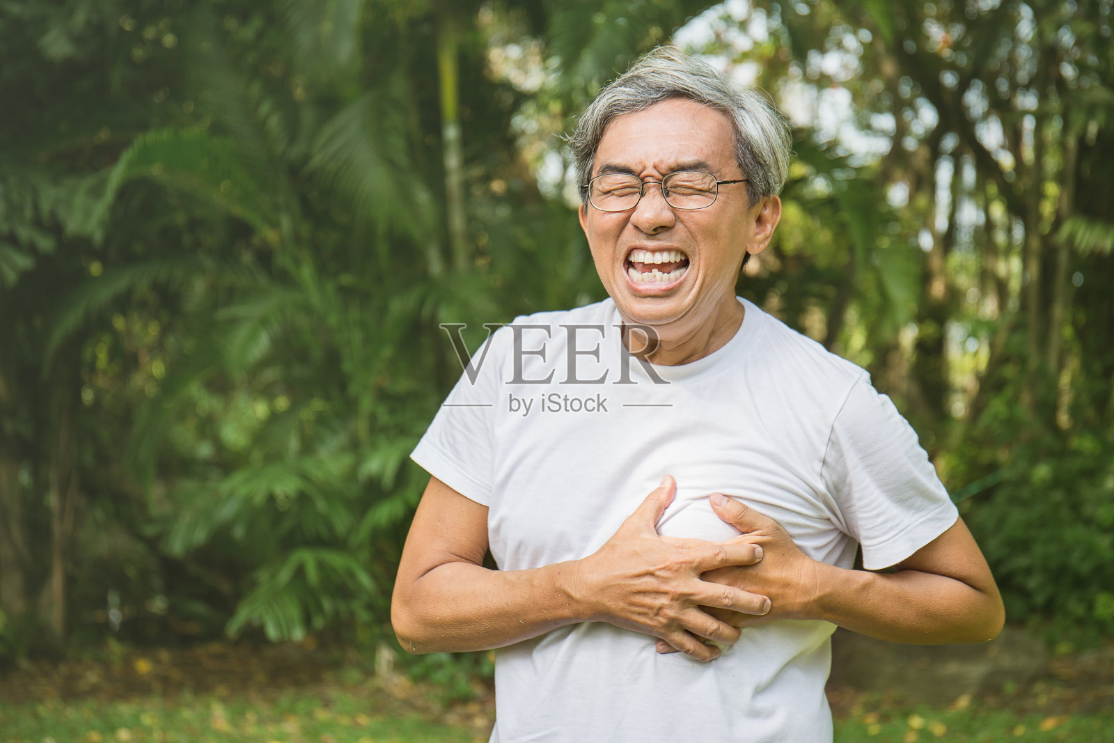 在公园里突发心脏病的亚洲老年男子。胸部不适的亚洲老人特写，医疗保健概念照片摄影图片