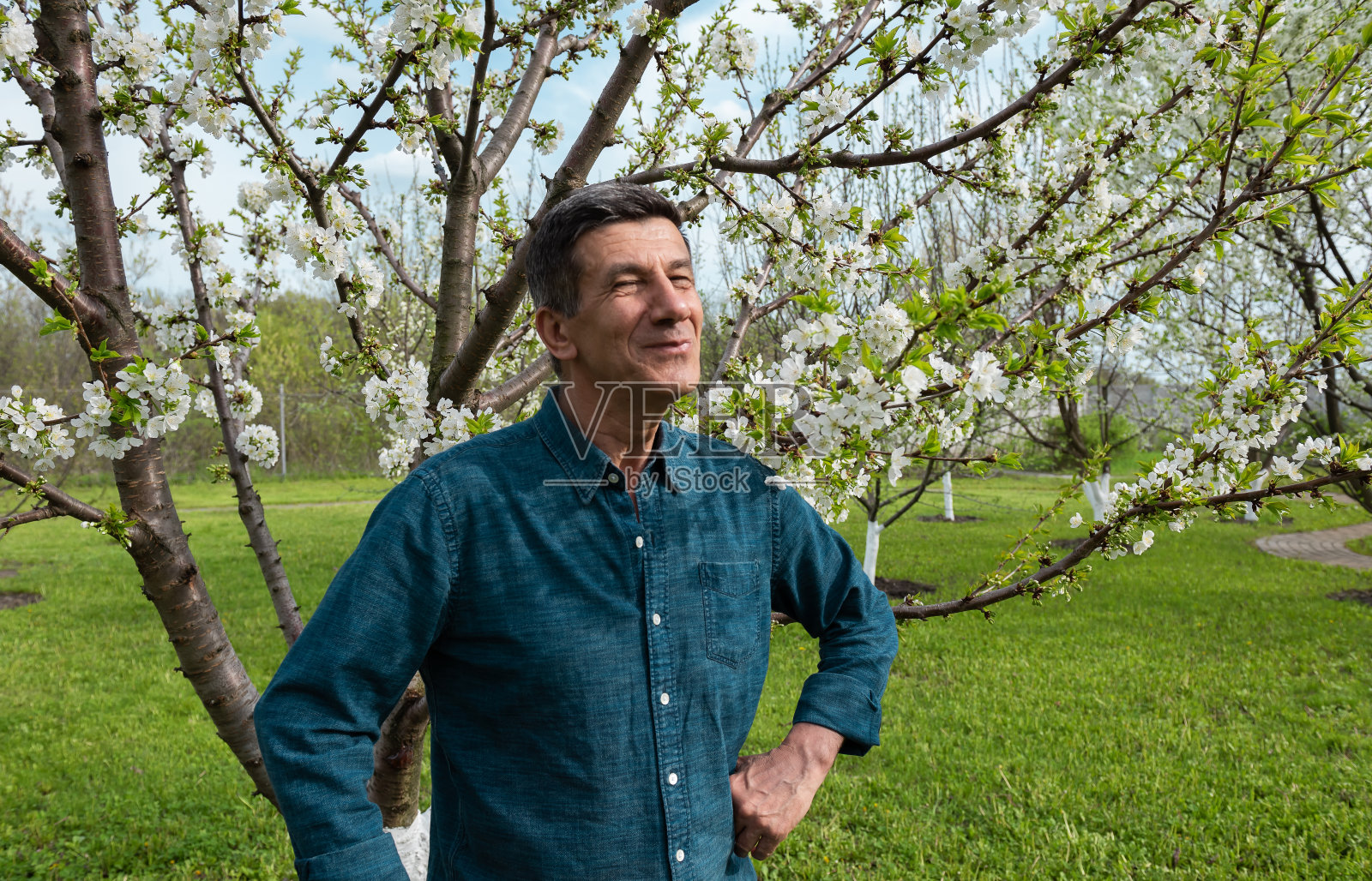 微笑的退休男子在自己的花园照片摄影图片