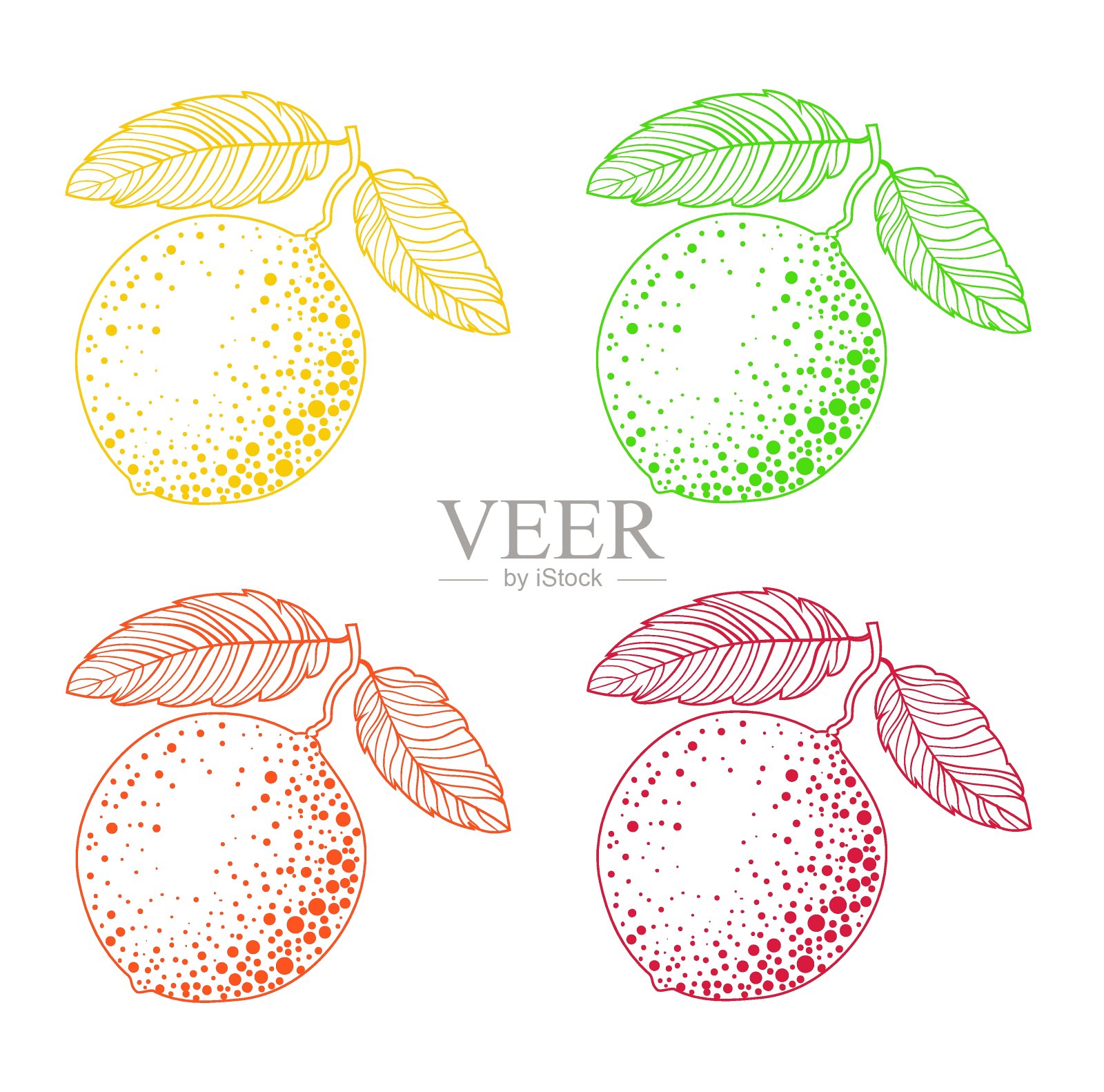 一套四个柑橘类水果在树枝上涂鸦风格的叶子在橙色，黄色，绿色和红色的颜色-柠檬，酸橙，橙子，柚子。设计元素图片