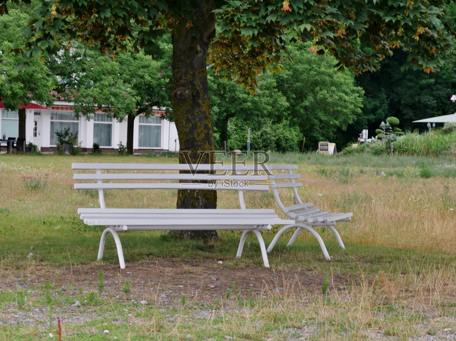 Rügen上Sassnitz的公园长椅照片摄影图片