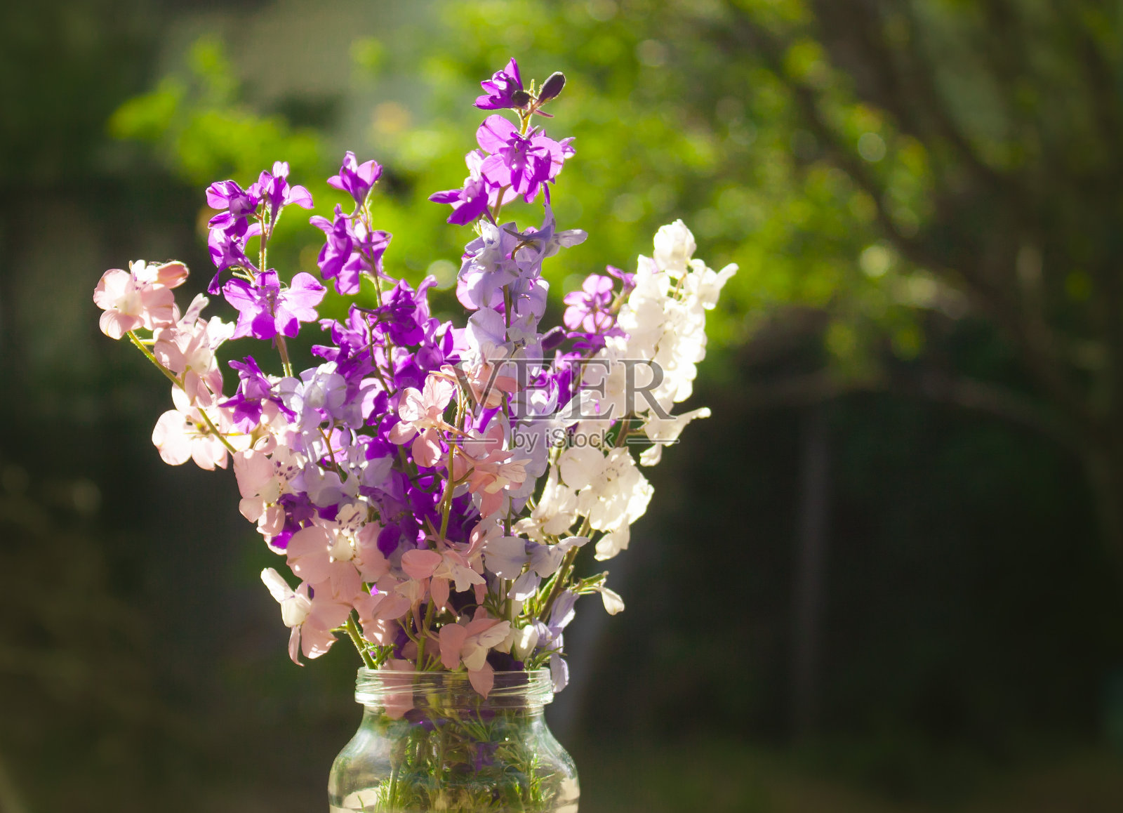 玻璃瓶里放着一束温柔的夏日鲜花照片摄影图片
