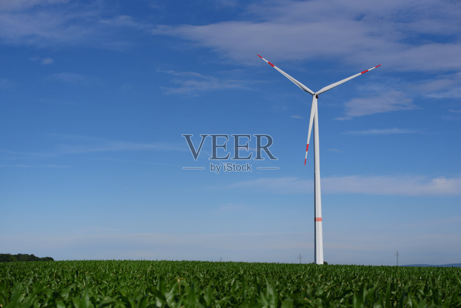 一个用于发电的大型风力涡轮机耸立在蓝天白云之上，玉米田之上，背景是小的电力塔照片摄影图片