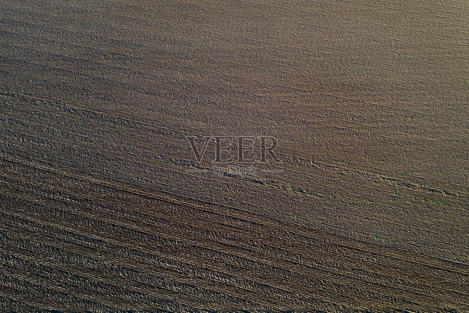 一个农业领域照片摄影图片