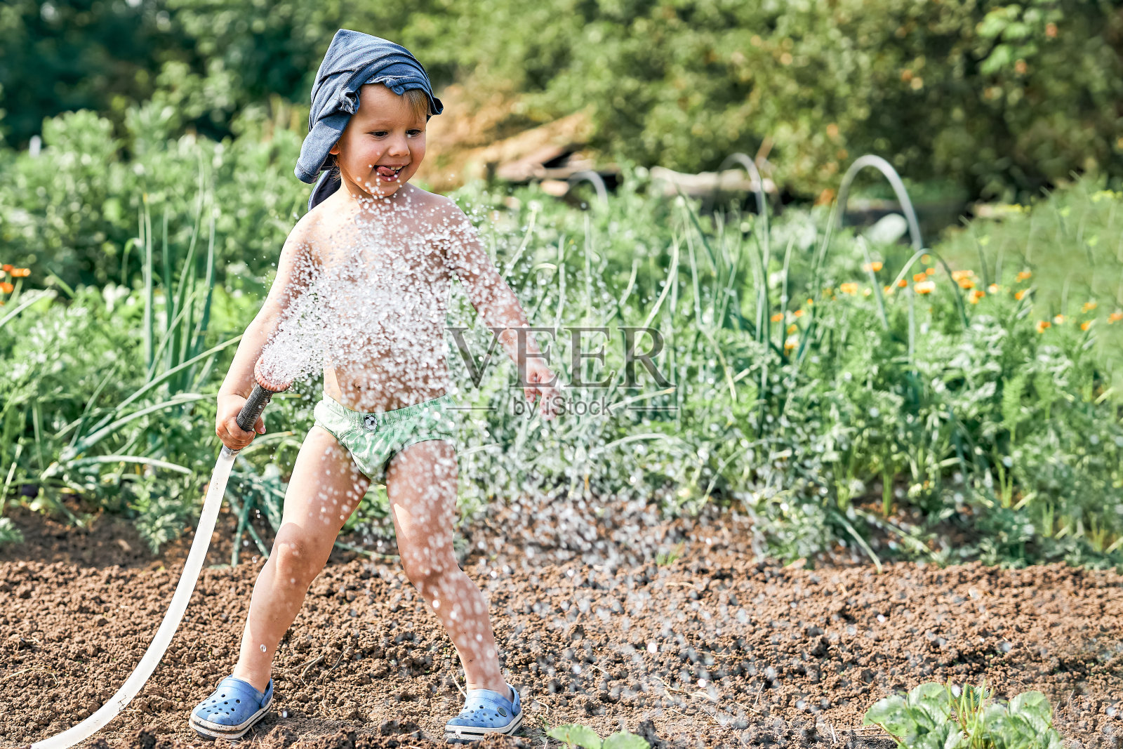 小男孩在厨房花园里给绿色植物浇水照片摄影图片