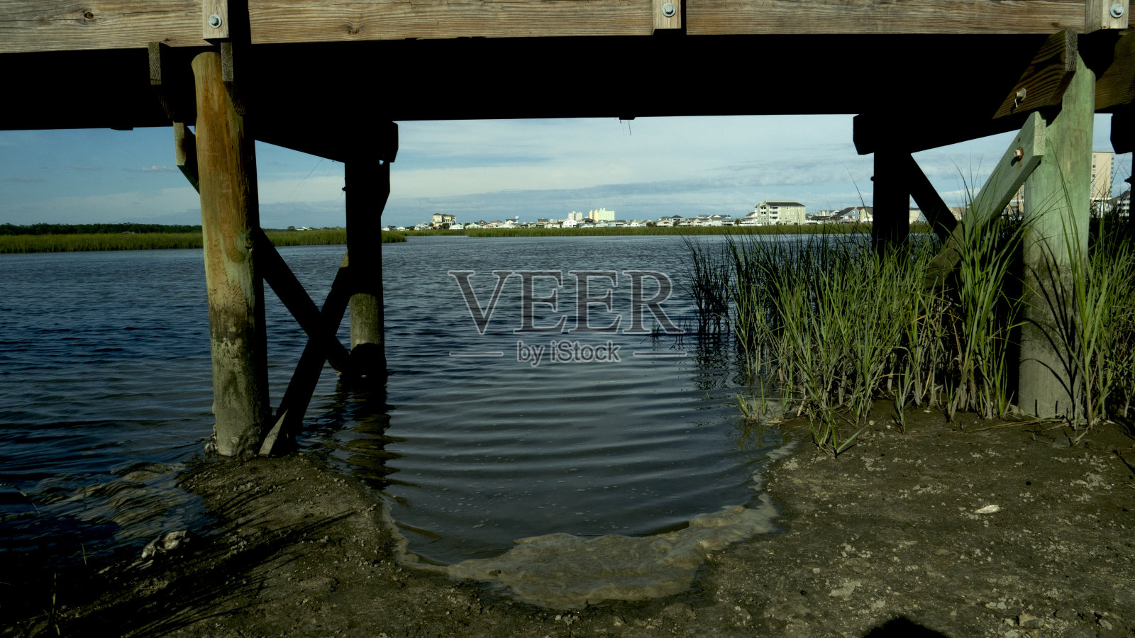 樱桃林遗产海岸保护区在北Myrtle海滩沼泽步道照片摄影图片
