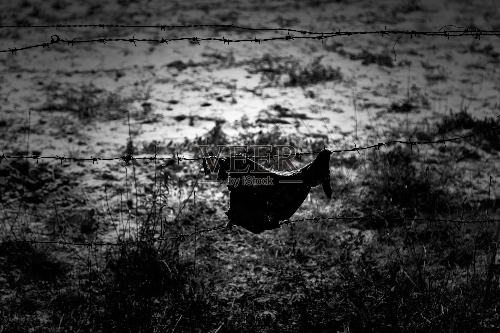 铁丝网照片摄影图片