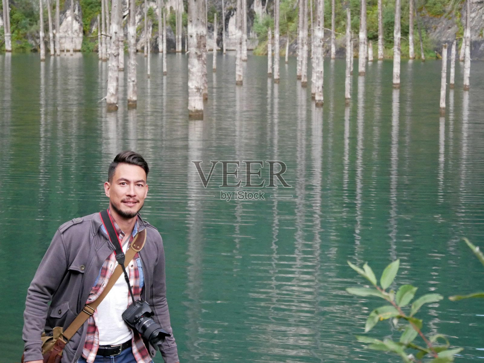 一个男人站在康迪湖光秃秃的树干前照片摄影图片