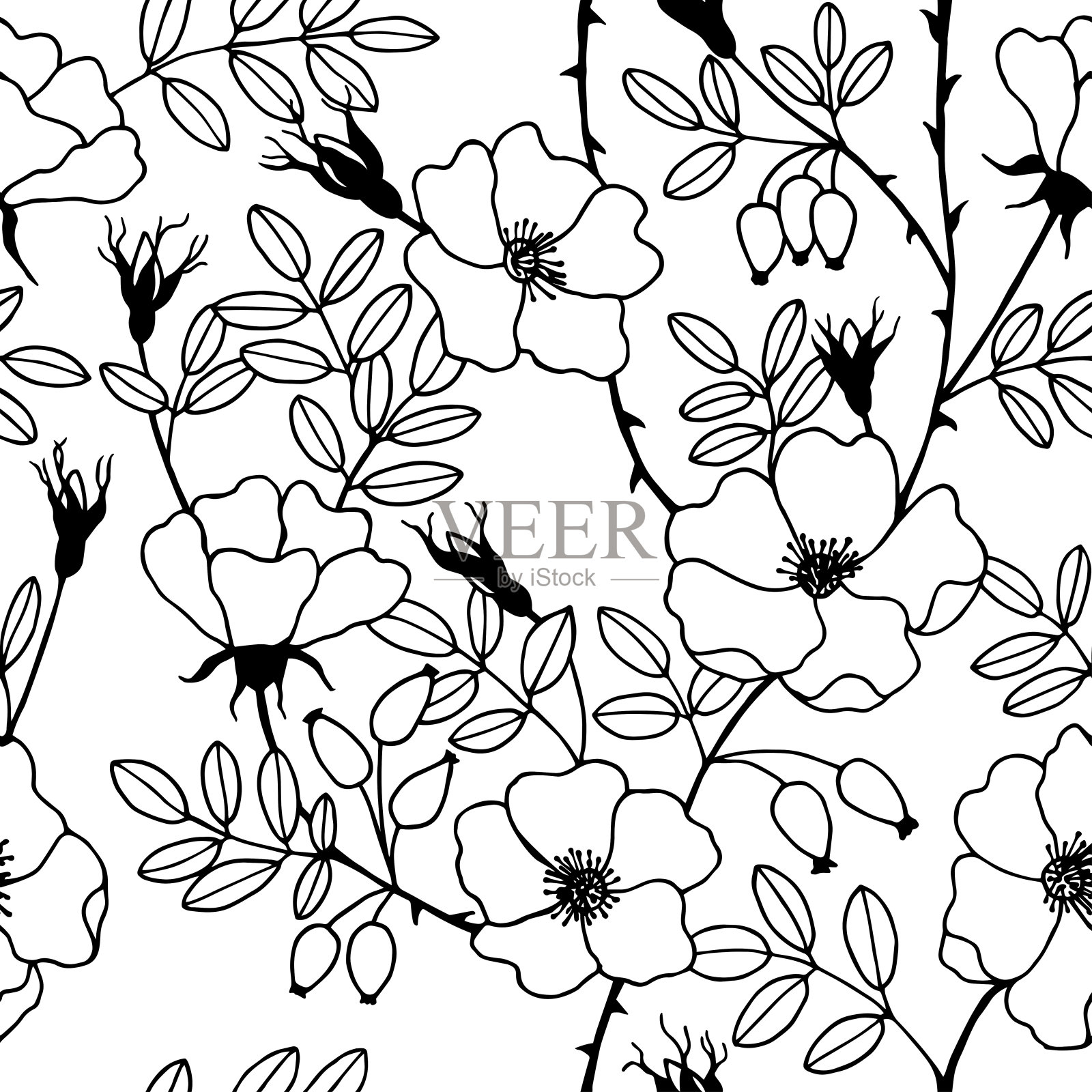无缝模式。有果实和花朵的蔷薇属植物。插画图片素材