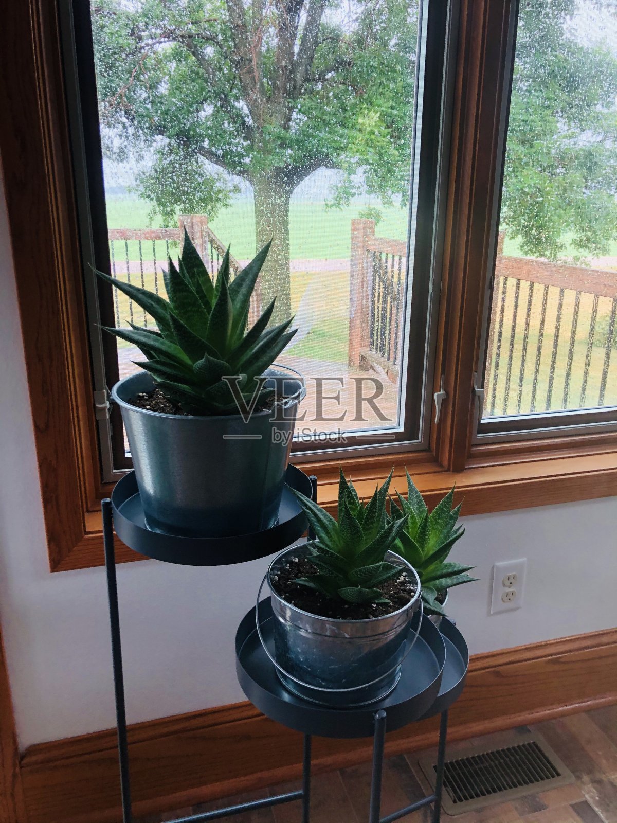 窗边和平台边有两盆植物照片摄影图片