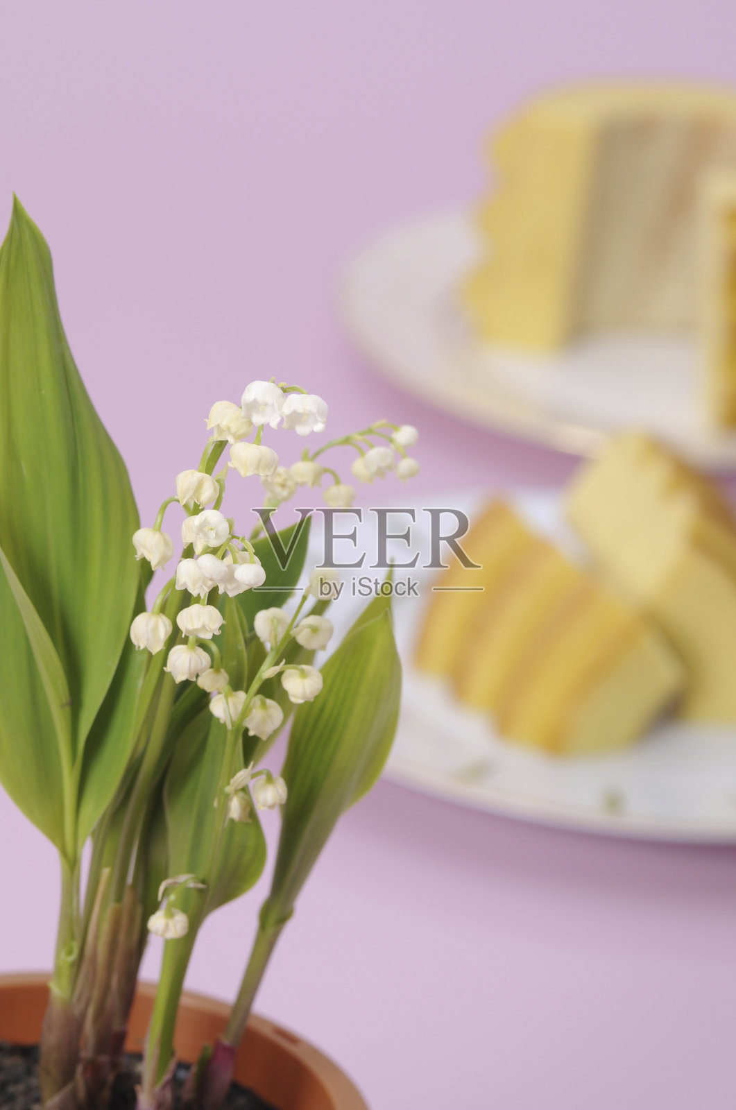 铃兰照片摄影图片