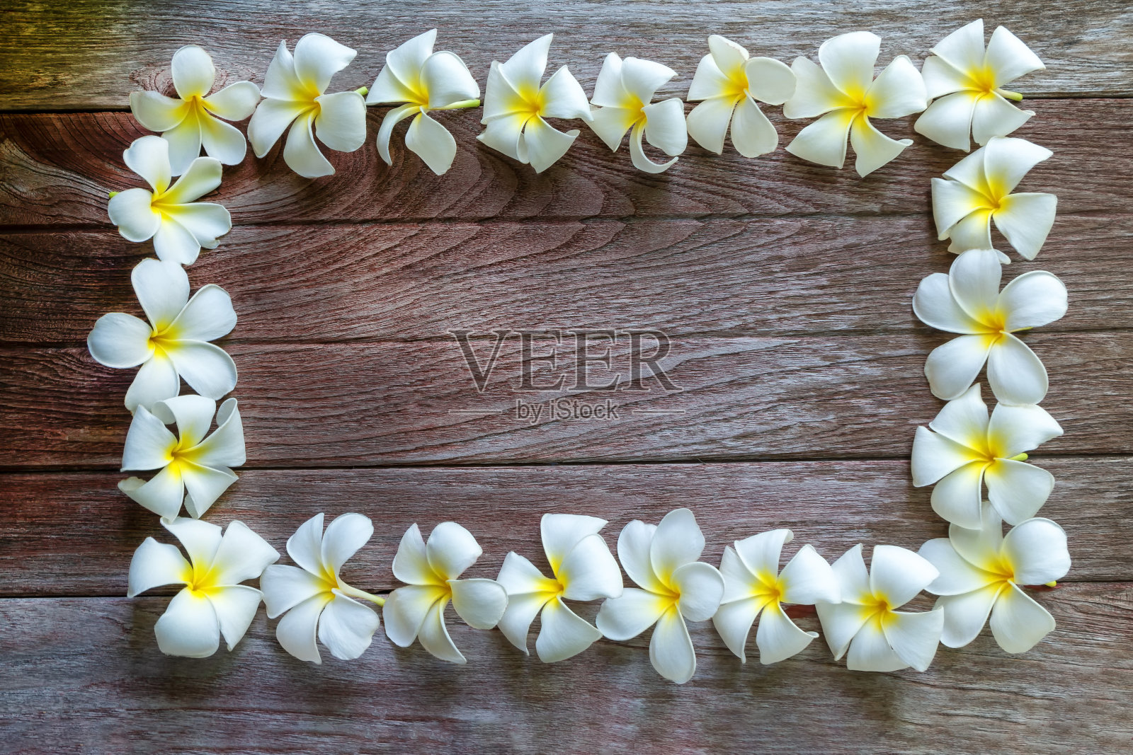 白色的鸡蛋花排列在一个框架上的木制背景。照片摄影图片