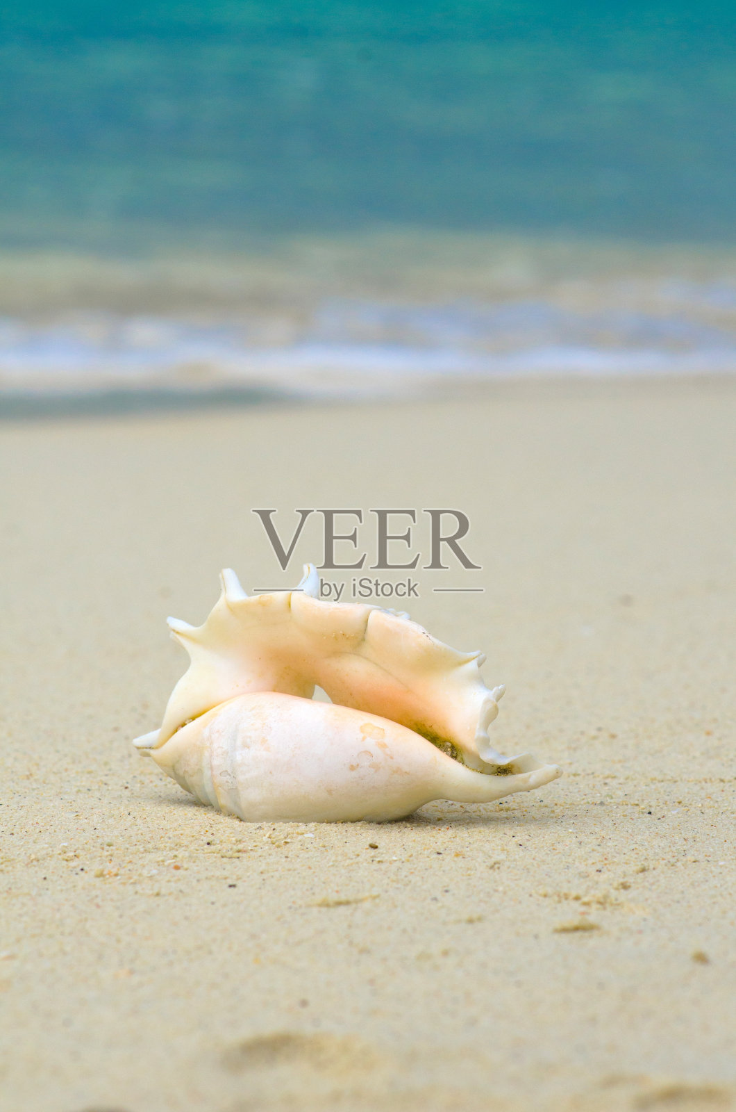 风景与贝壳在热带海滩附近的浪，利普岛泰国。照片摄影图片