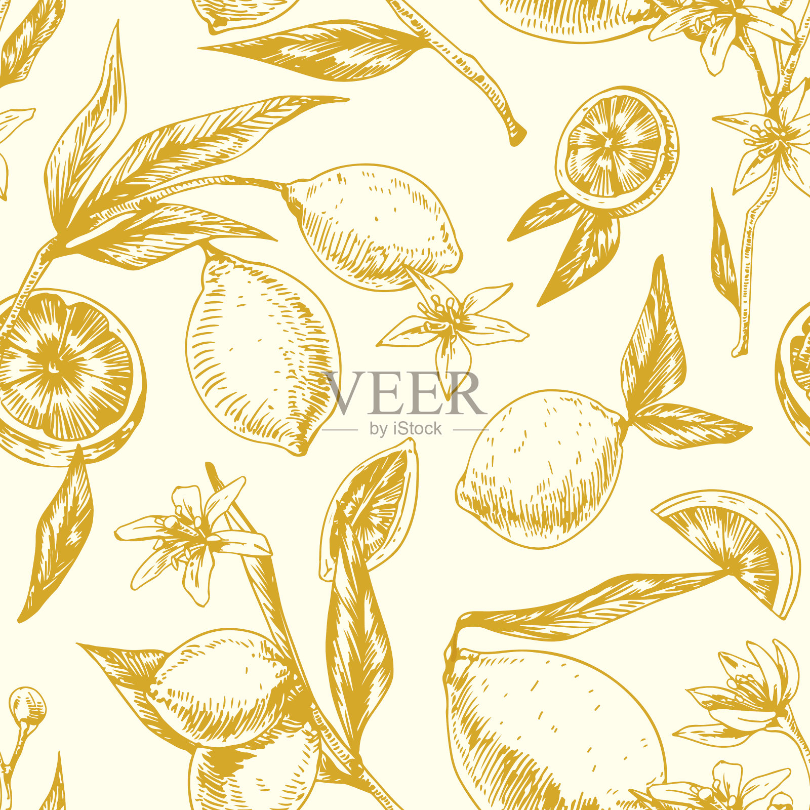 无缝单色图案与柑橘类水果上插画图片素材