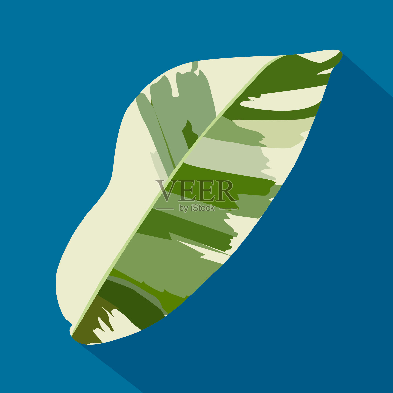 矢量的绿色热带螺旋藻叶在蓝色的背景。手绘。插画图片素材