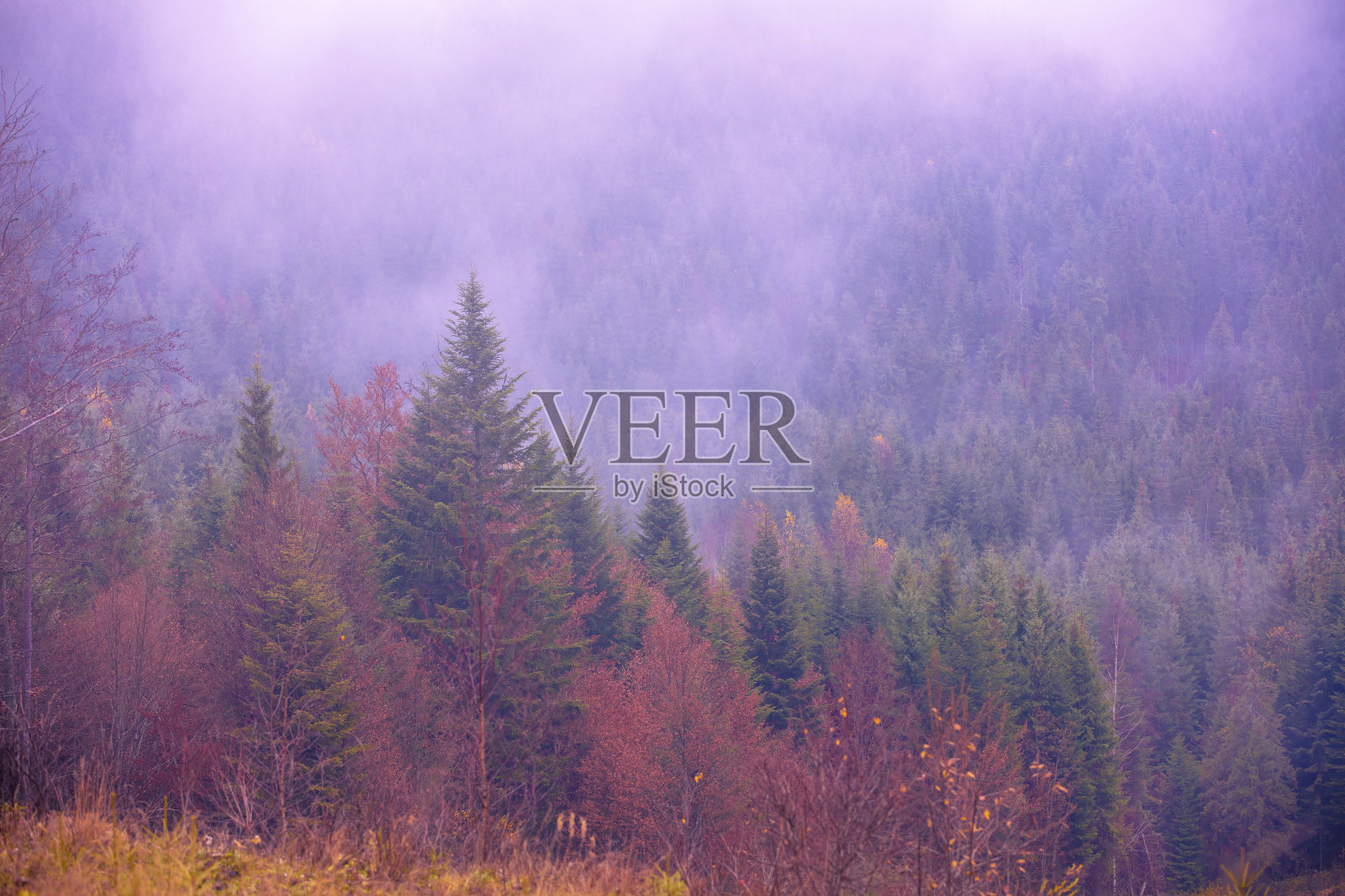 山景在雾气蒙蒙的初秋清晨照片摄影图片