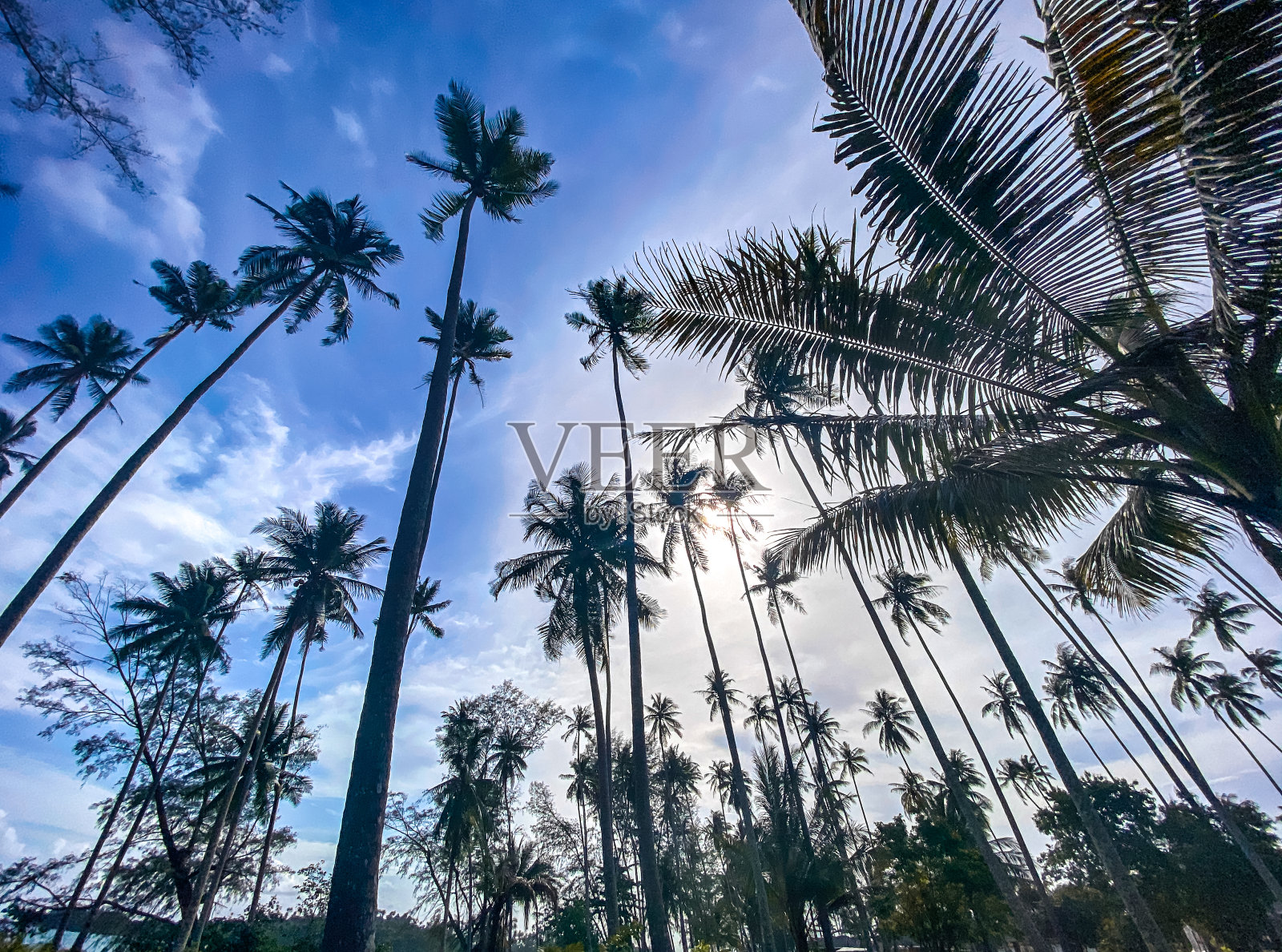 废弃的船木屋，幽灵船在大Lagoona, Koh Chang, Trat，泰国照片摄影图片