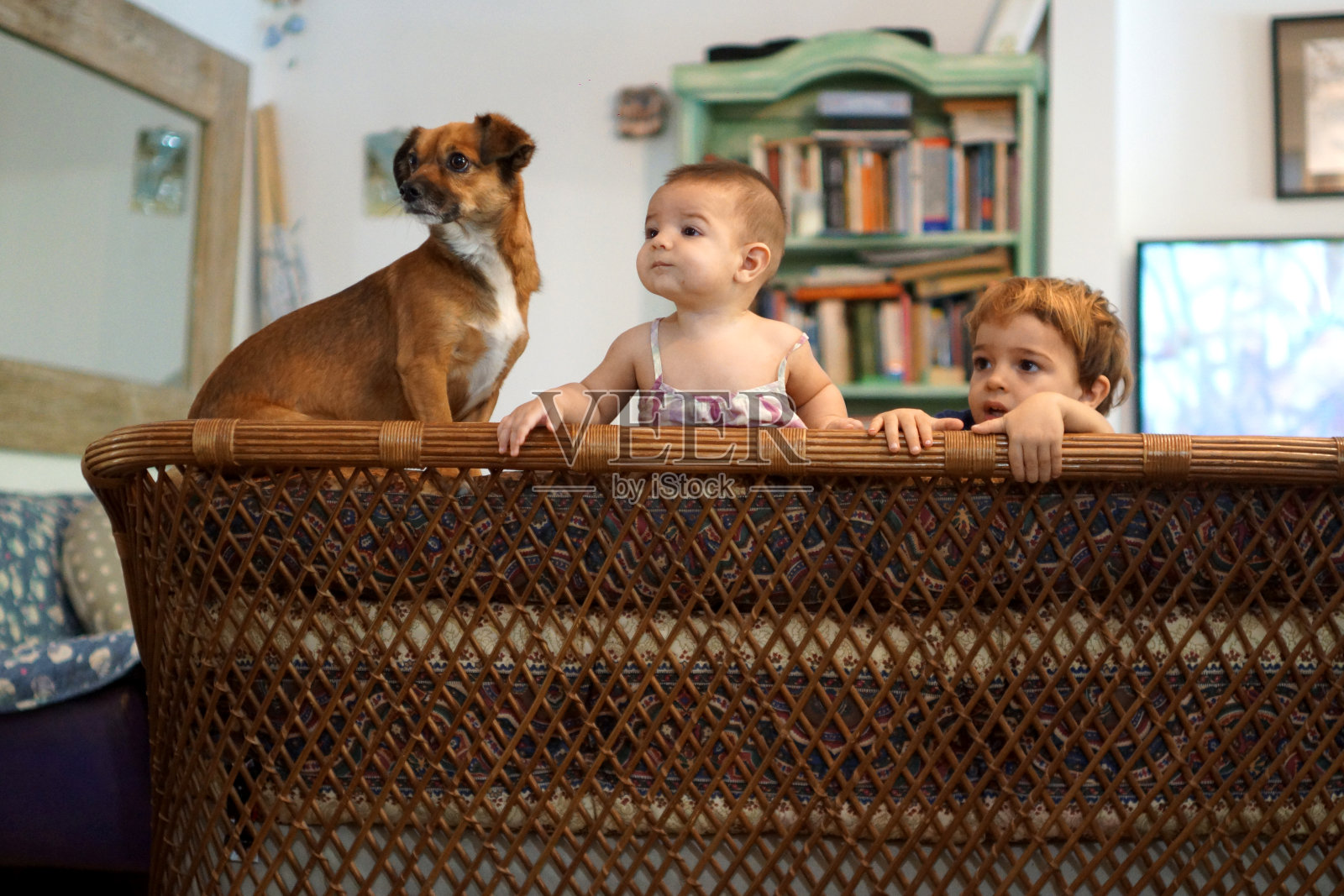 蹒跚学步的孩子在沙发上蹦蹦跳跳照片摄影图片