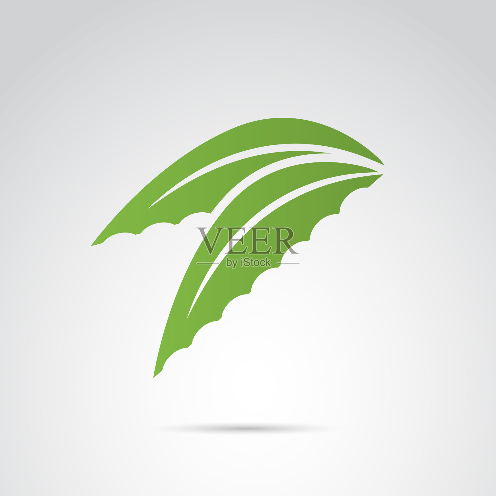 芦荟vera矢量图标上的白色背景。插画图片素材