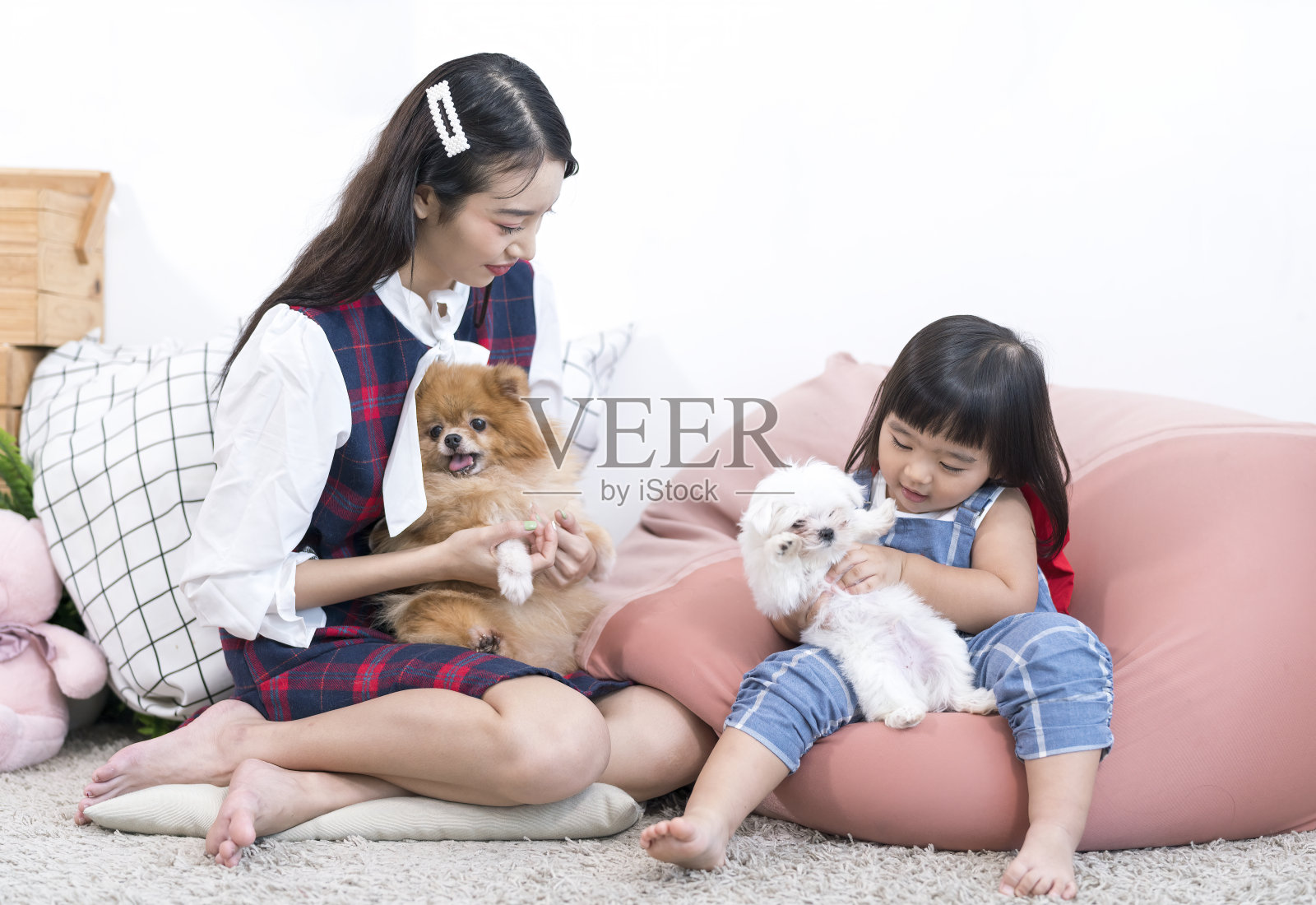 亚洲女孩和年轻女子拥抱一只马耳他狗和博美犬。年轻漂亮的女人和女孩牵着小狗。照片摄影图片