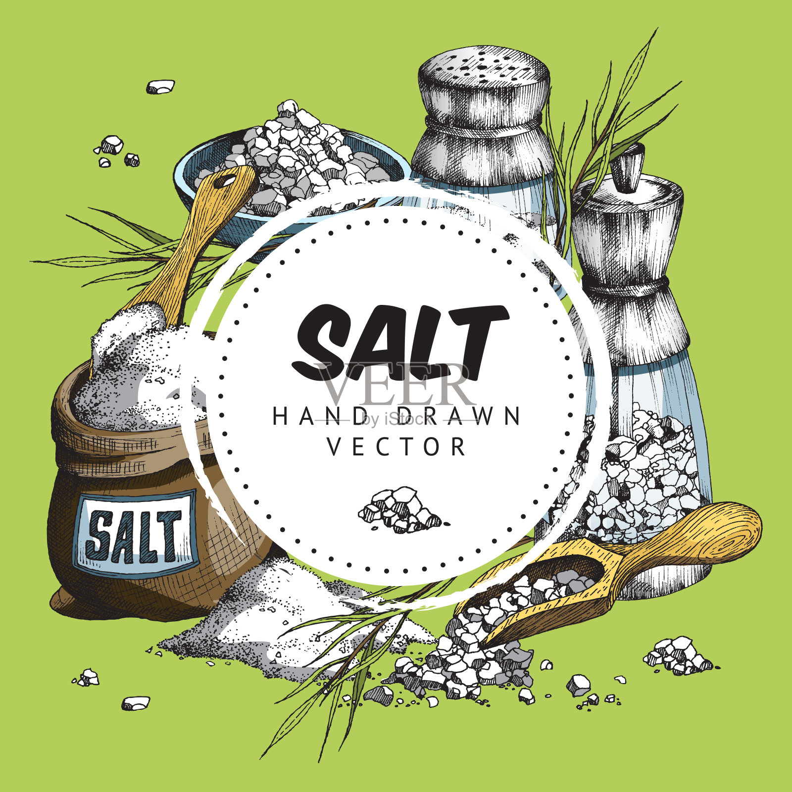 颜色矢量手绘插图的圆形标签与文本盐和盐的对象在绿色的背景。插画图片素材