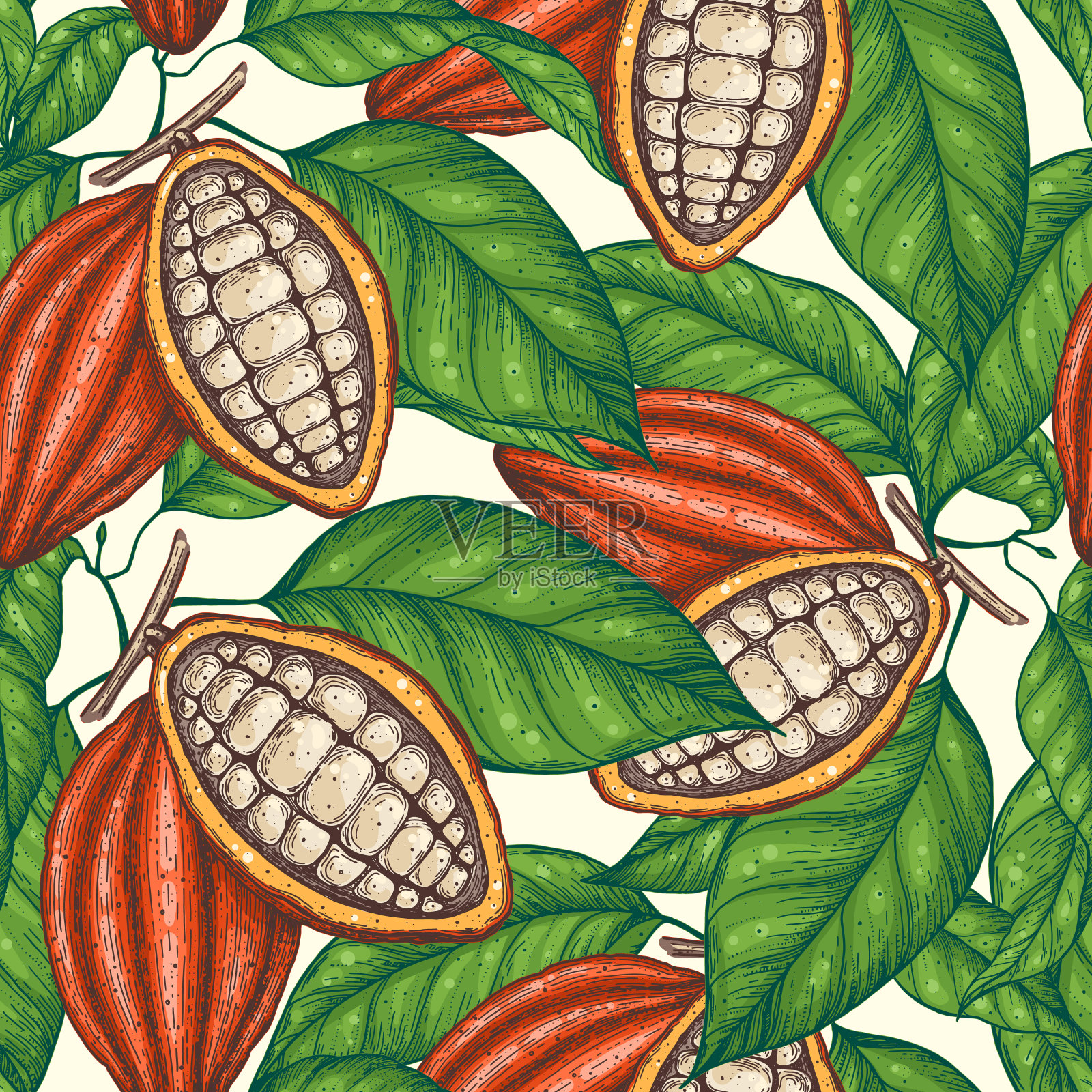 可可无缝模式。可可豆矢量插图。巧克力豆。背景设计。手绘插图。插画图片素材