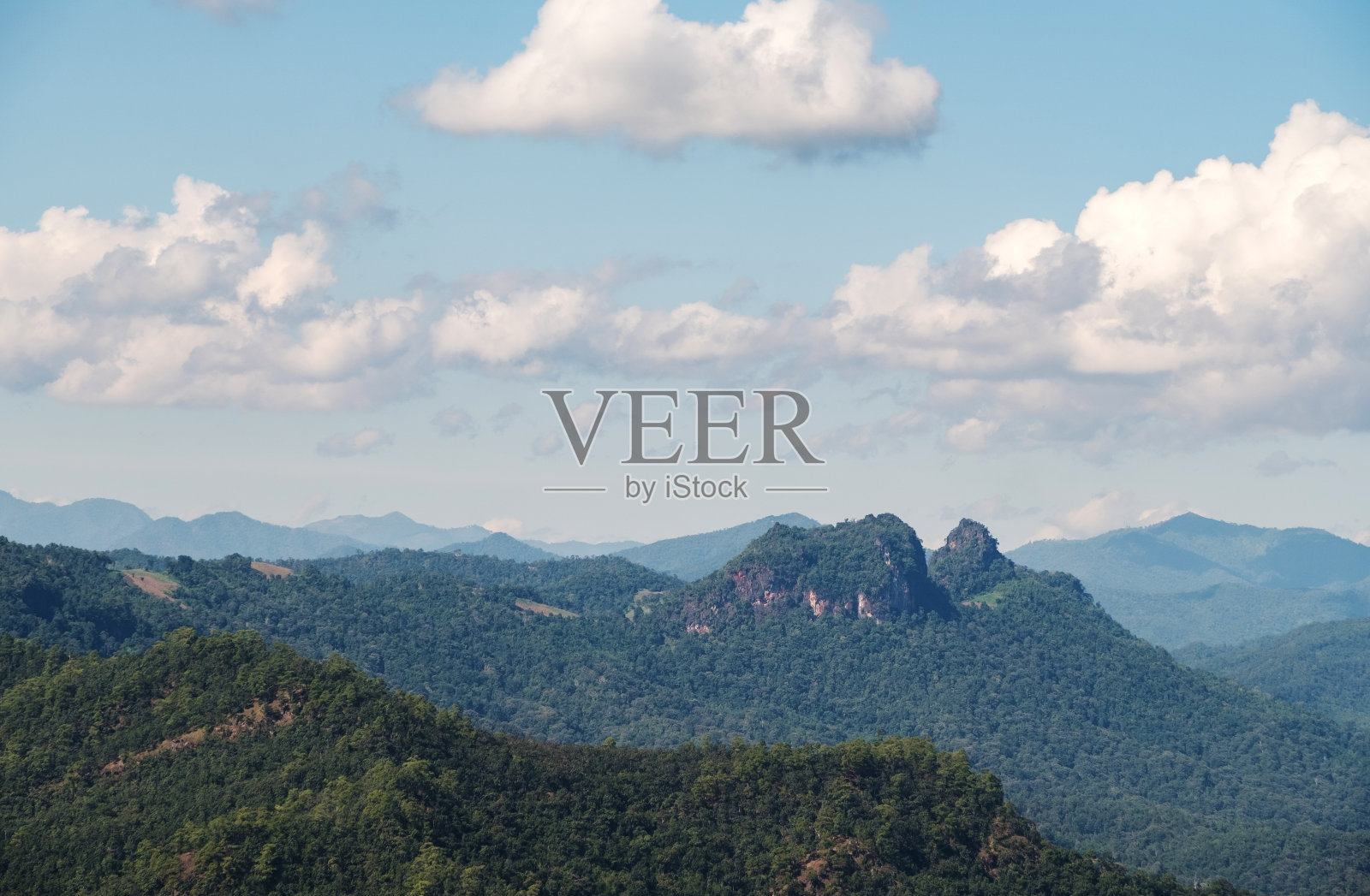 高山上热带森林的宁静景色。照片摄影图片